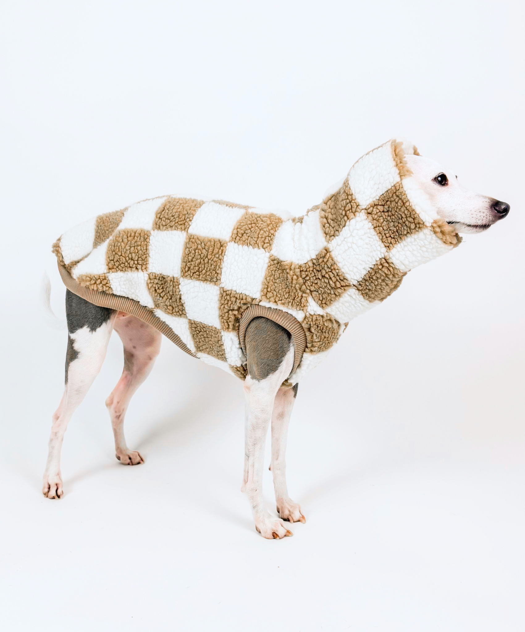 Desert – Sleeveless Tank