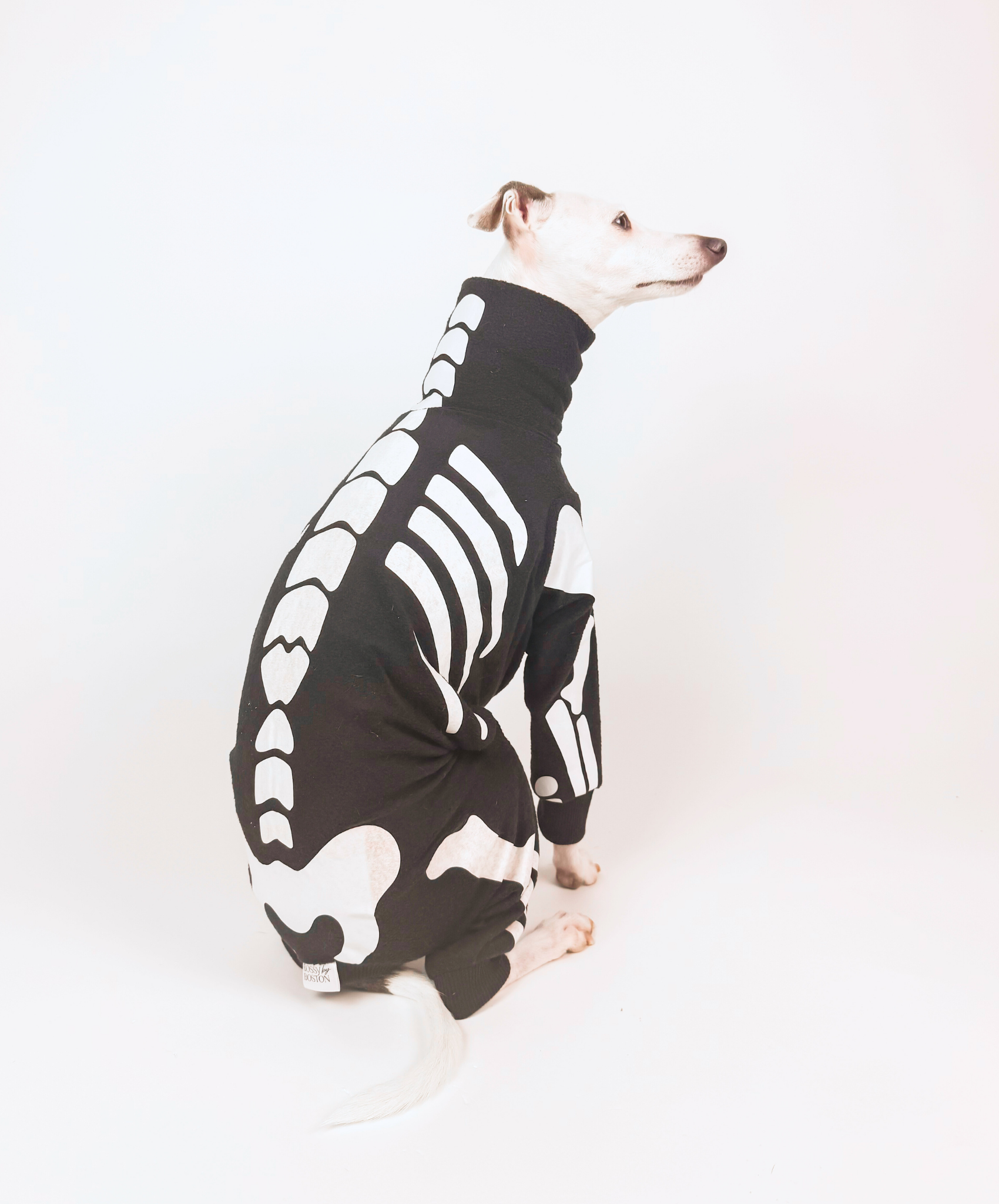 Howloween Skeleton – Full Suit