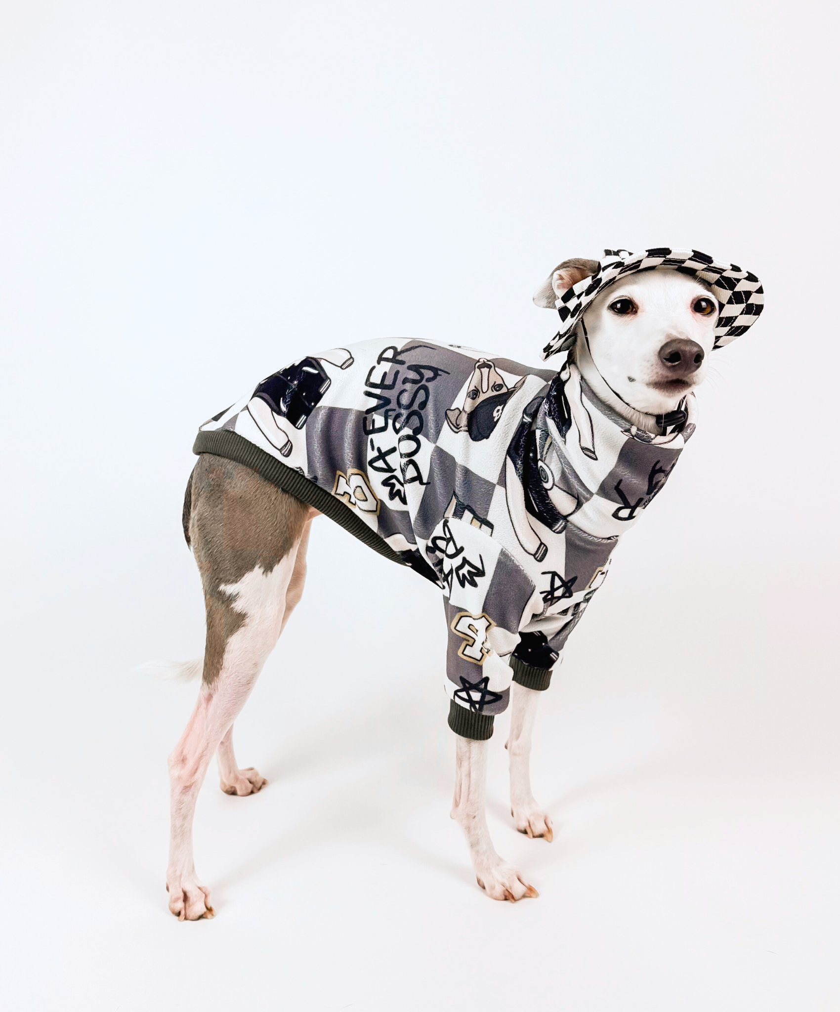 4Eva Bossy – Dog Hat