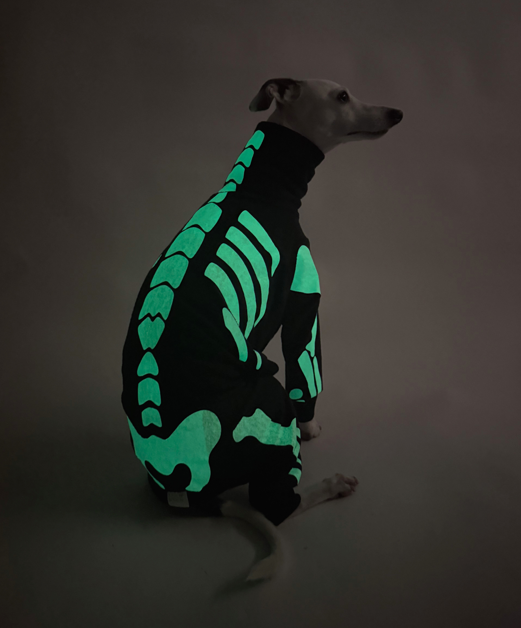 Howloween Skeleton – Full Suit