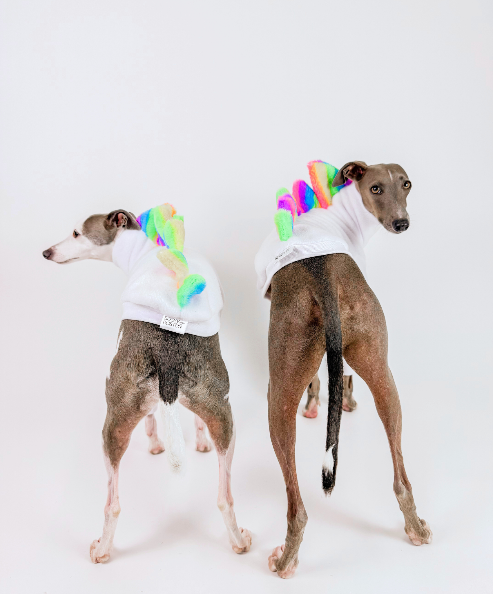 Bossy OG Dinosaur – Half Suit