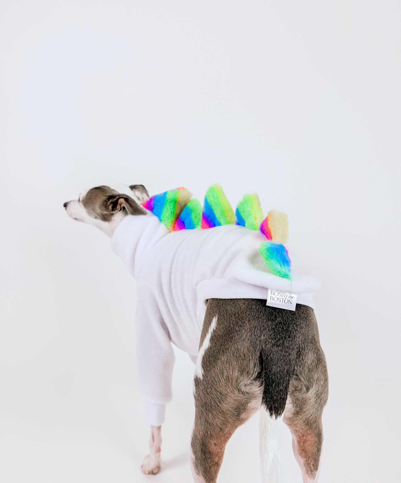 Bossy OG Dinosaur – Half Suit