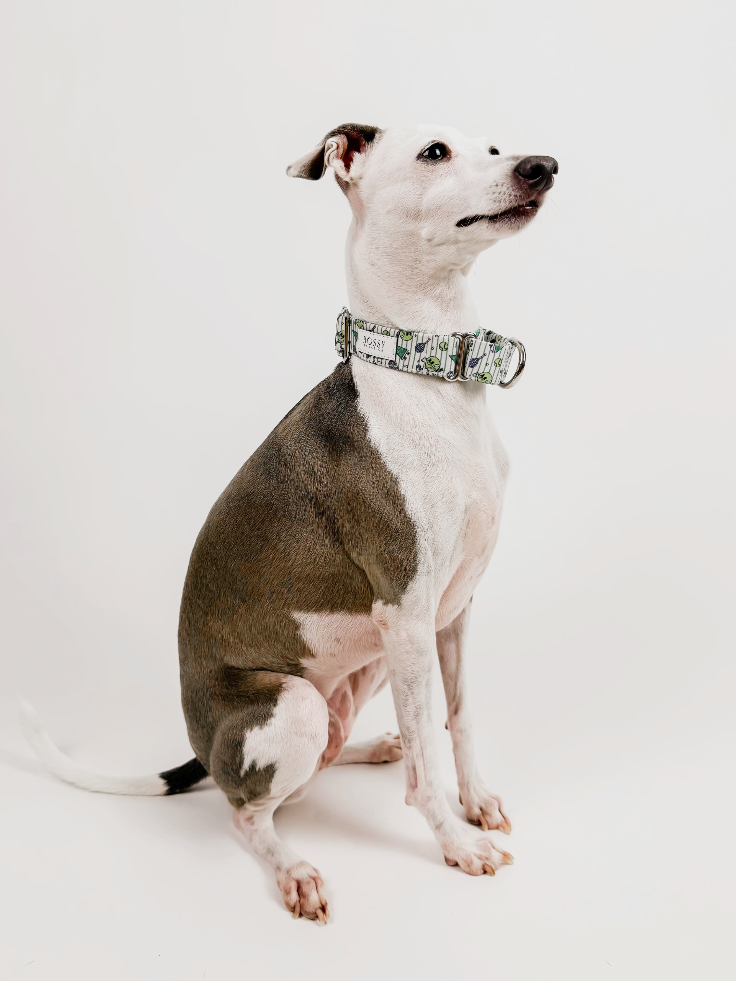 Ball is Life – Martingale Dog Collar