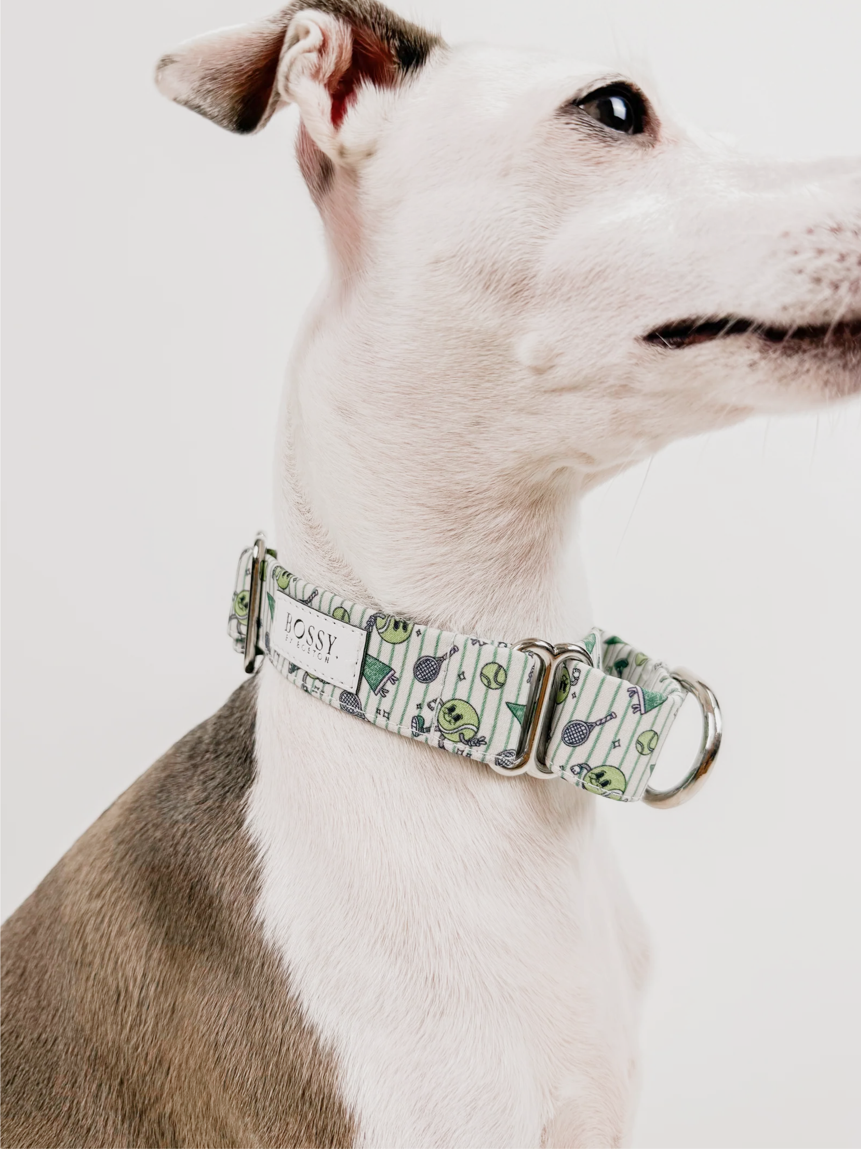 Ball is Life – Martingale Dog Collar