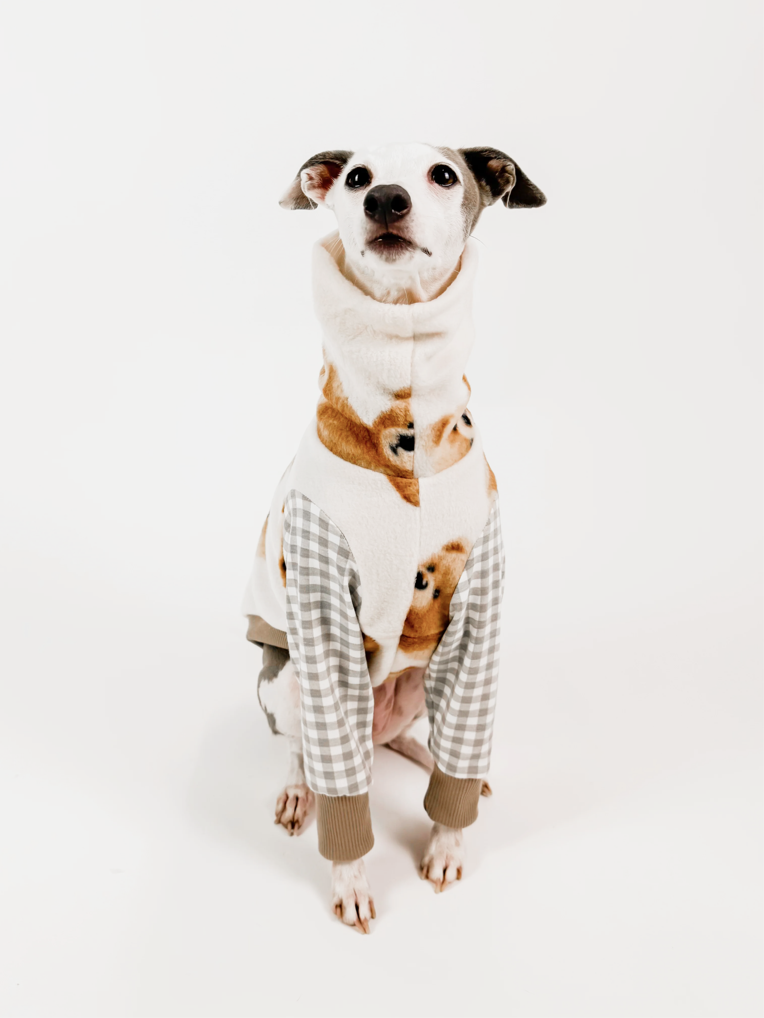 Bossy Bear Picnic – Half Suit