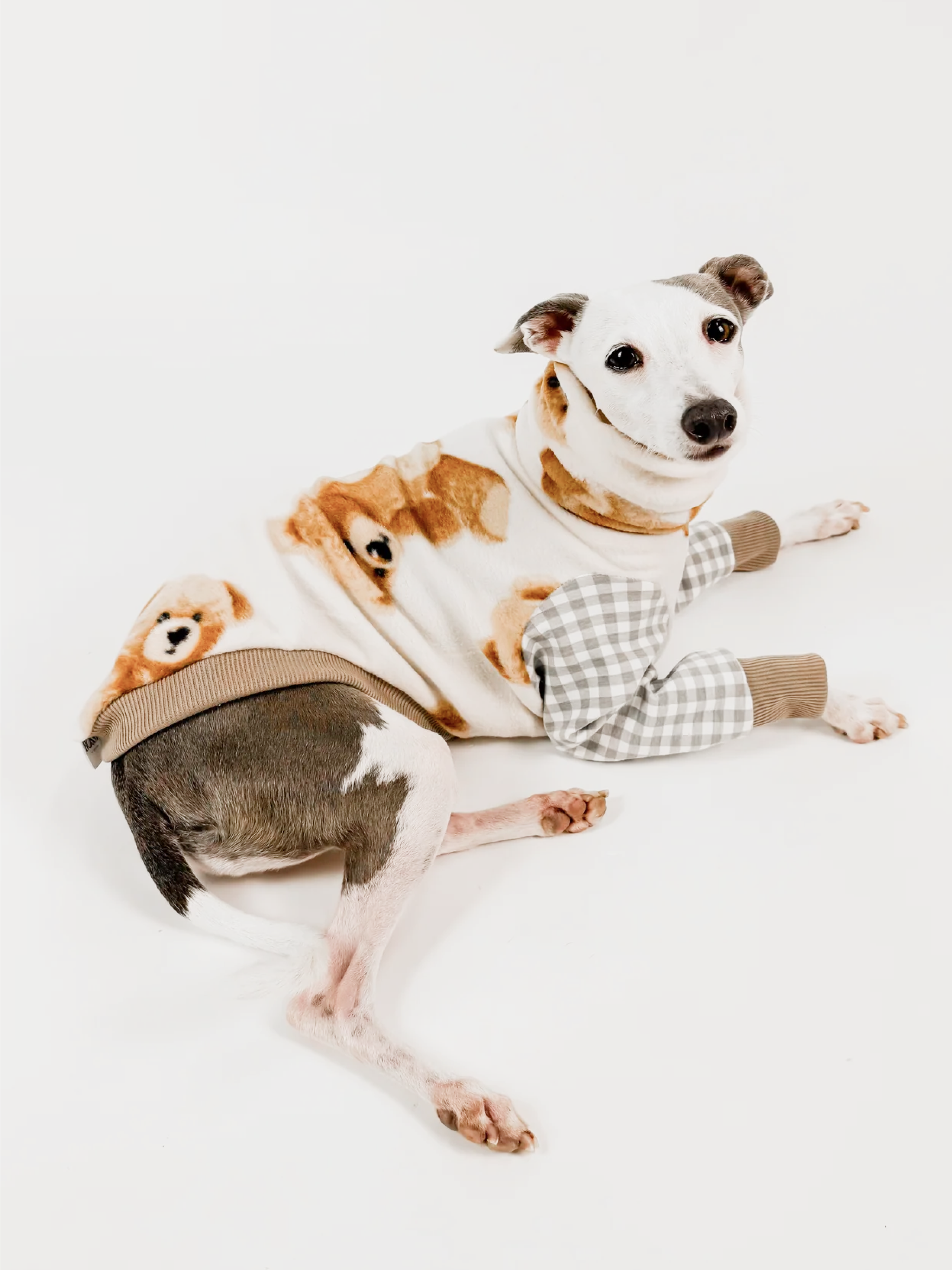 Bossy Bear Picnic – Half Suit