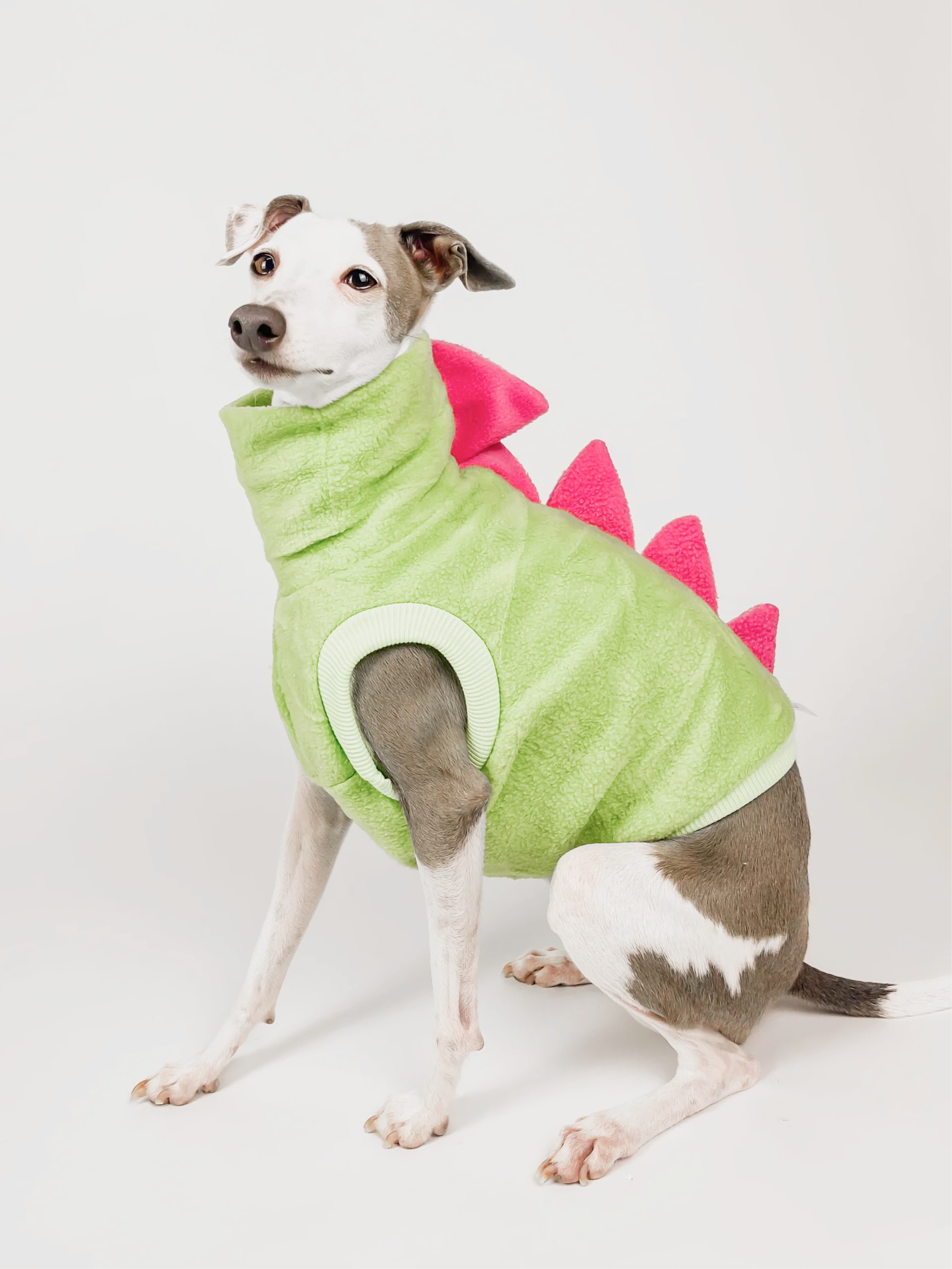 Bossy Customised – Build a Dinosaur