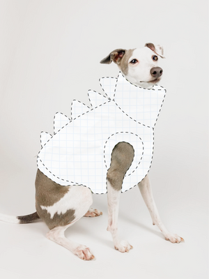 Bossy Customised – Build a Dinosaur