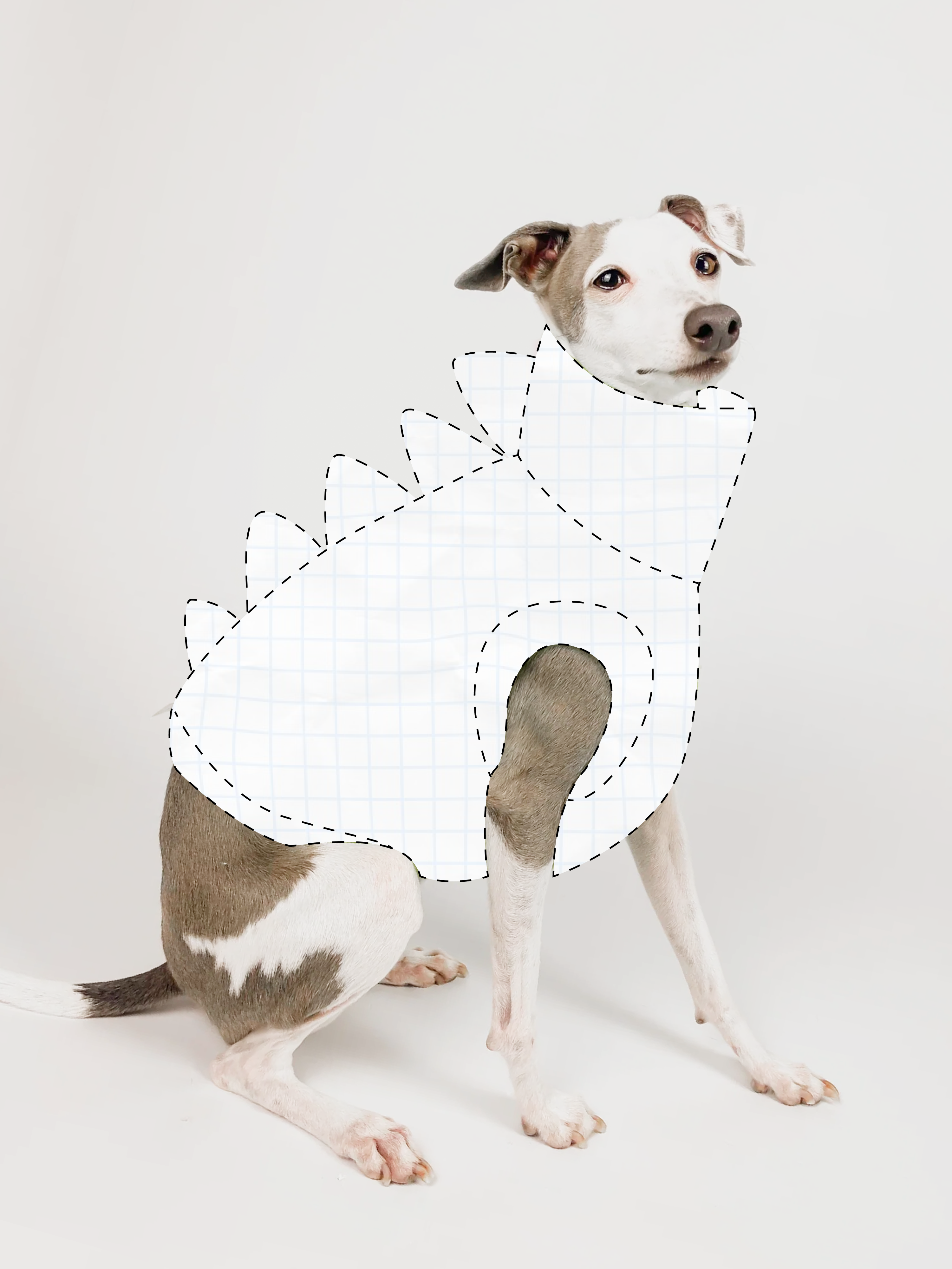 Bossy Customised – Build a Dinosaur