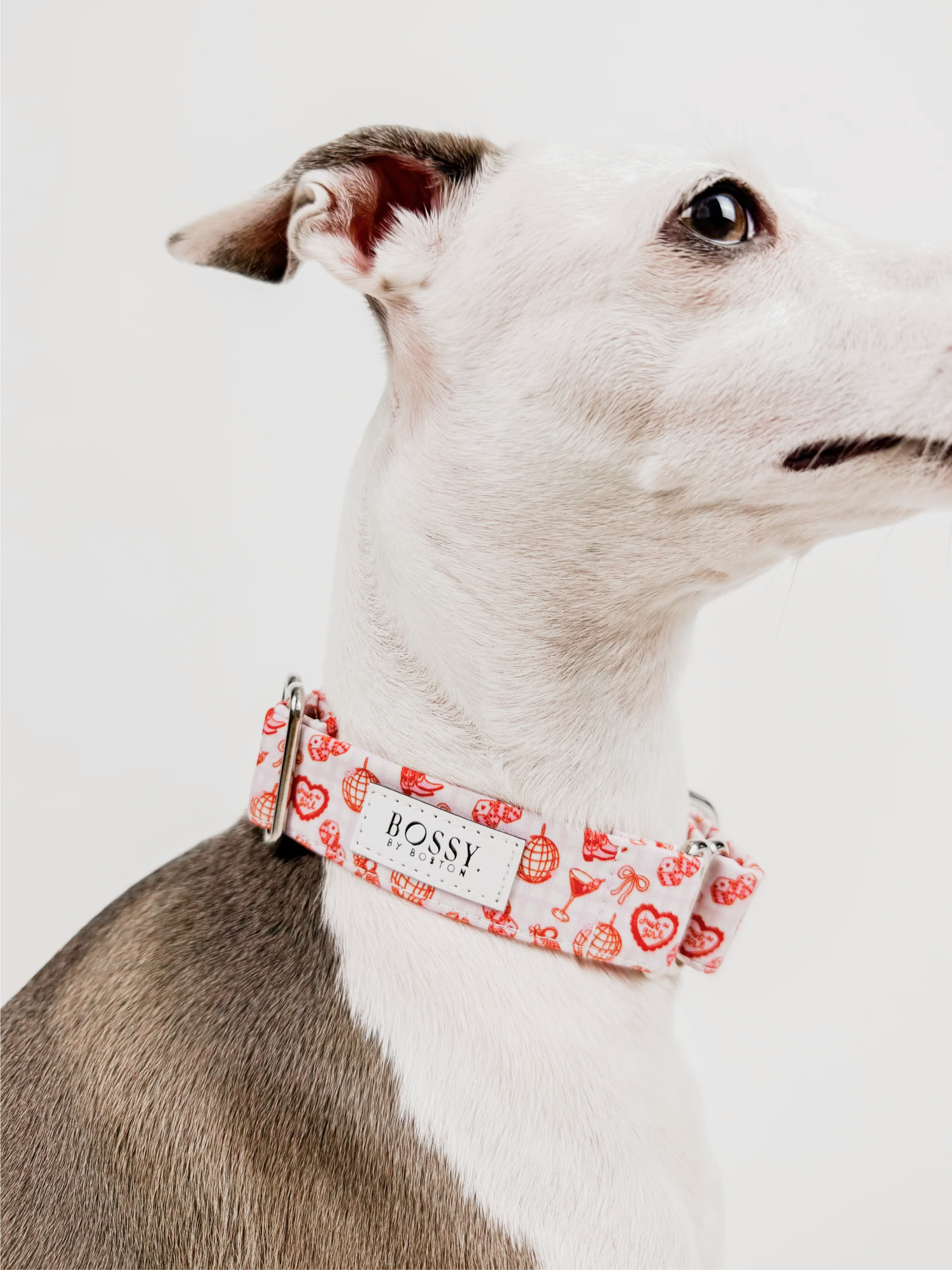 Boston's World – Martingale Dog Collar