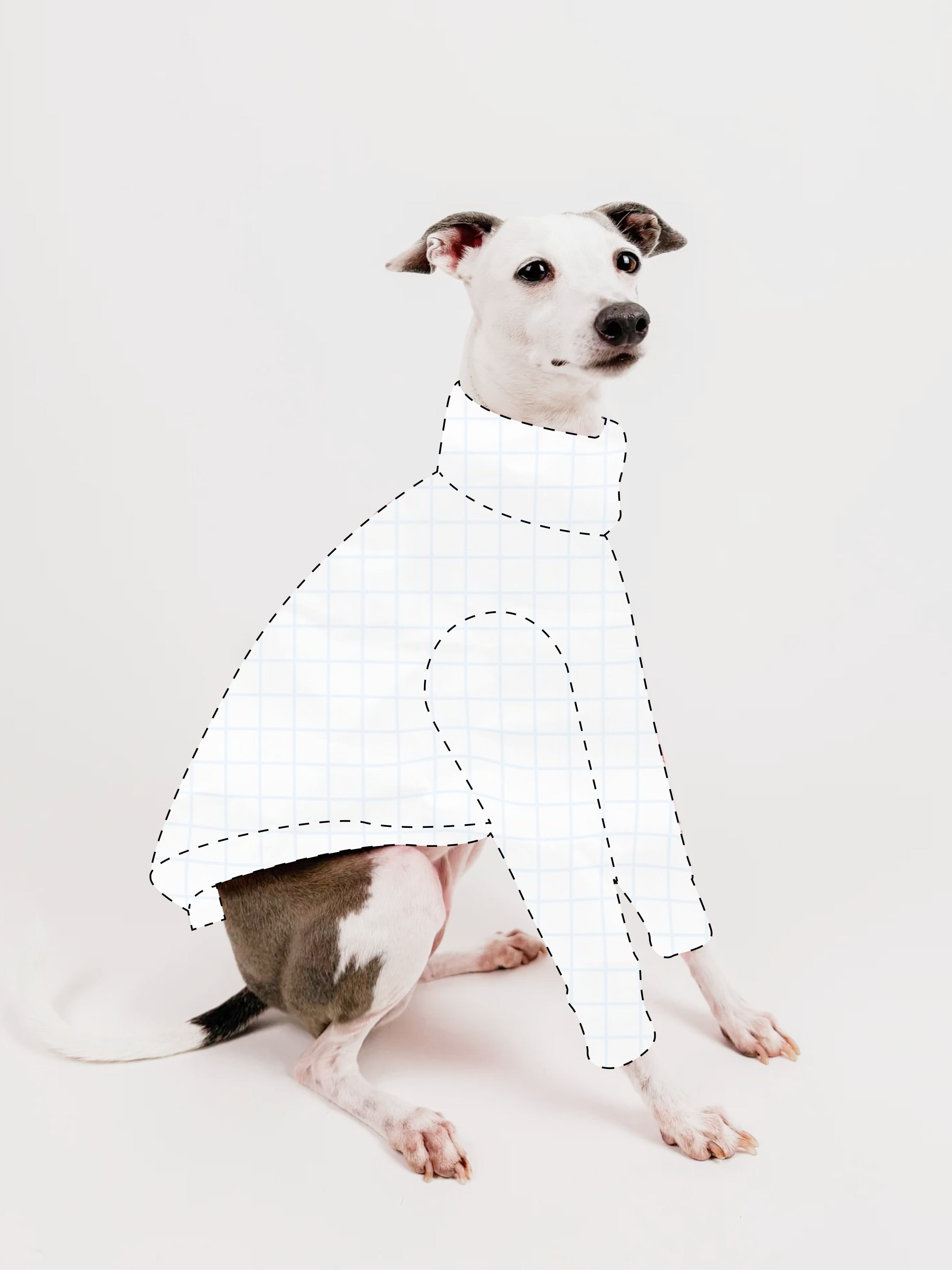 Bossy Customised – Tailored Fit