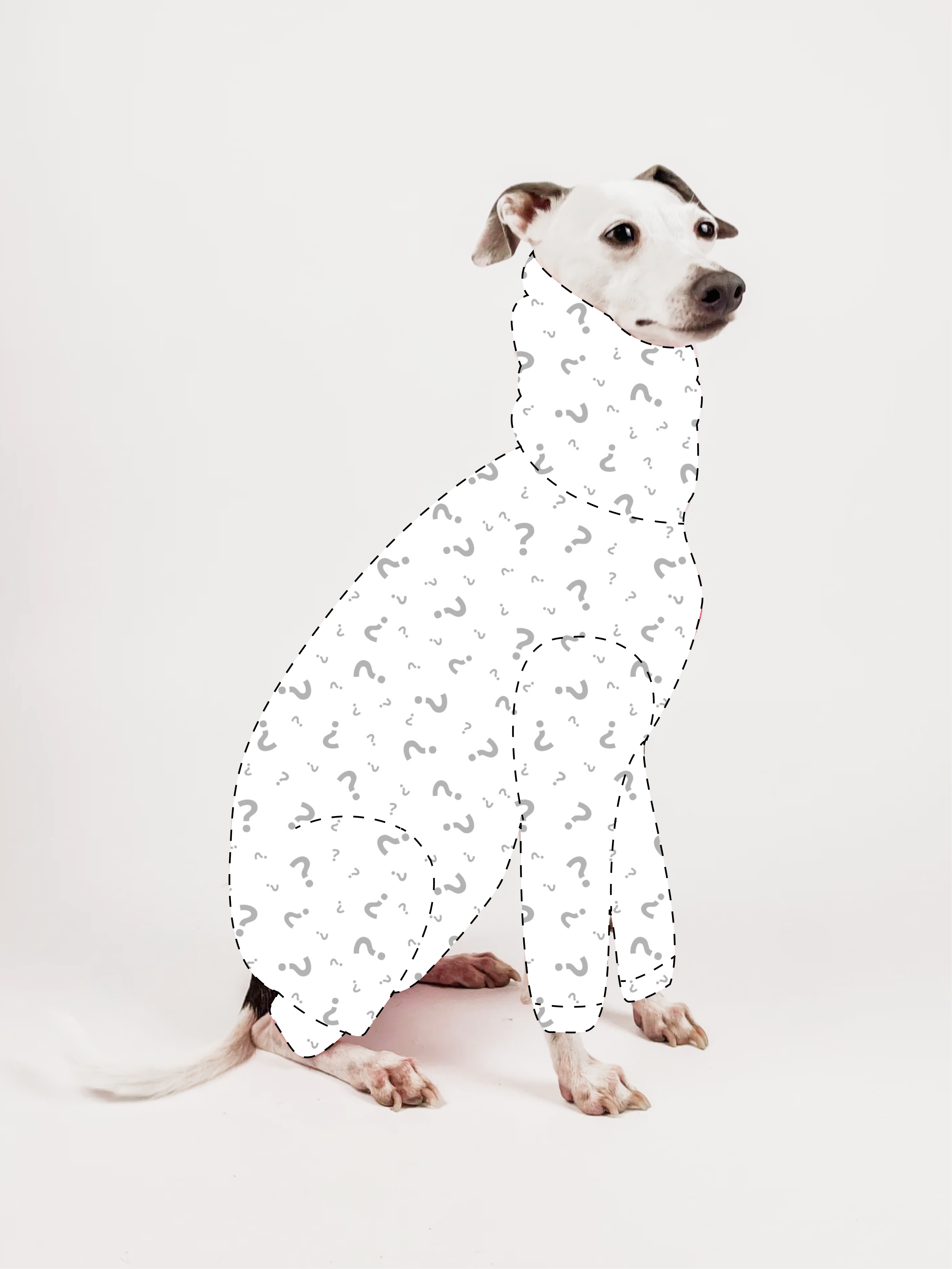 Bossy Customised – Mystery Sweater