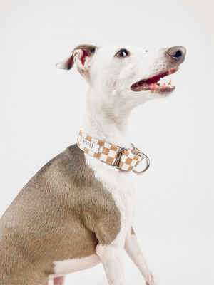 Desert – Martingale Dog Collar