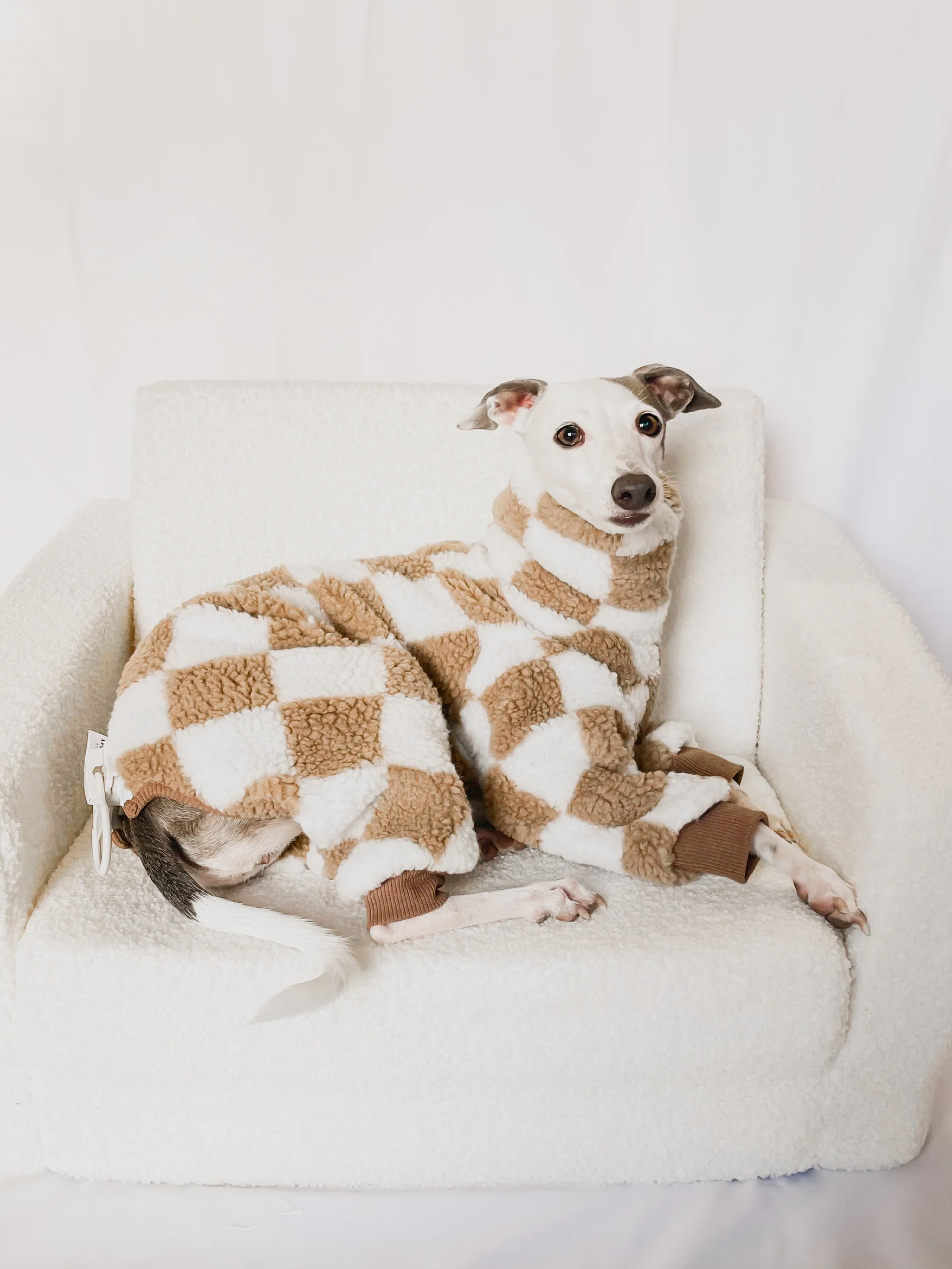 Desert Zipper Sweater - Full Suit