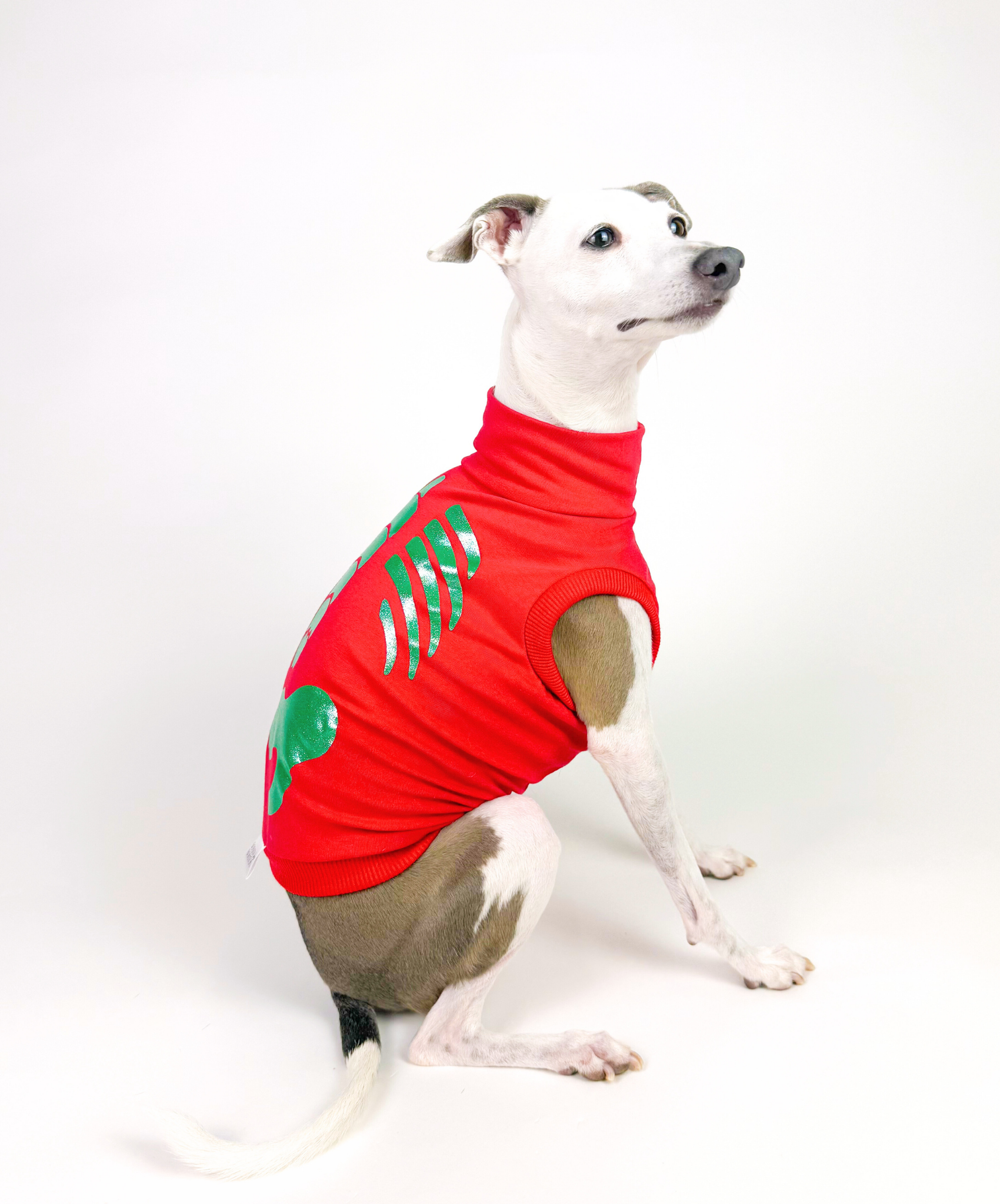 Howliday Skeleton  – Sleeveless Crop