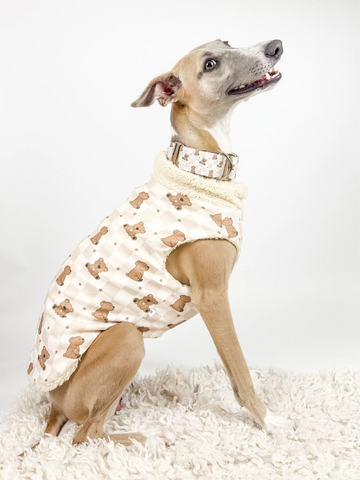 Hugs n Teddies – Zipper Sweater