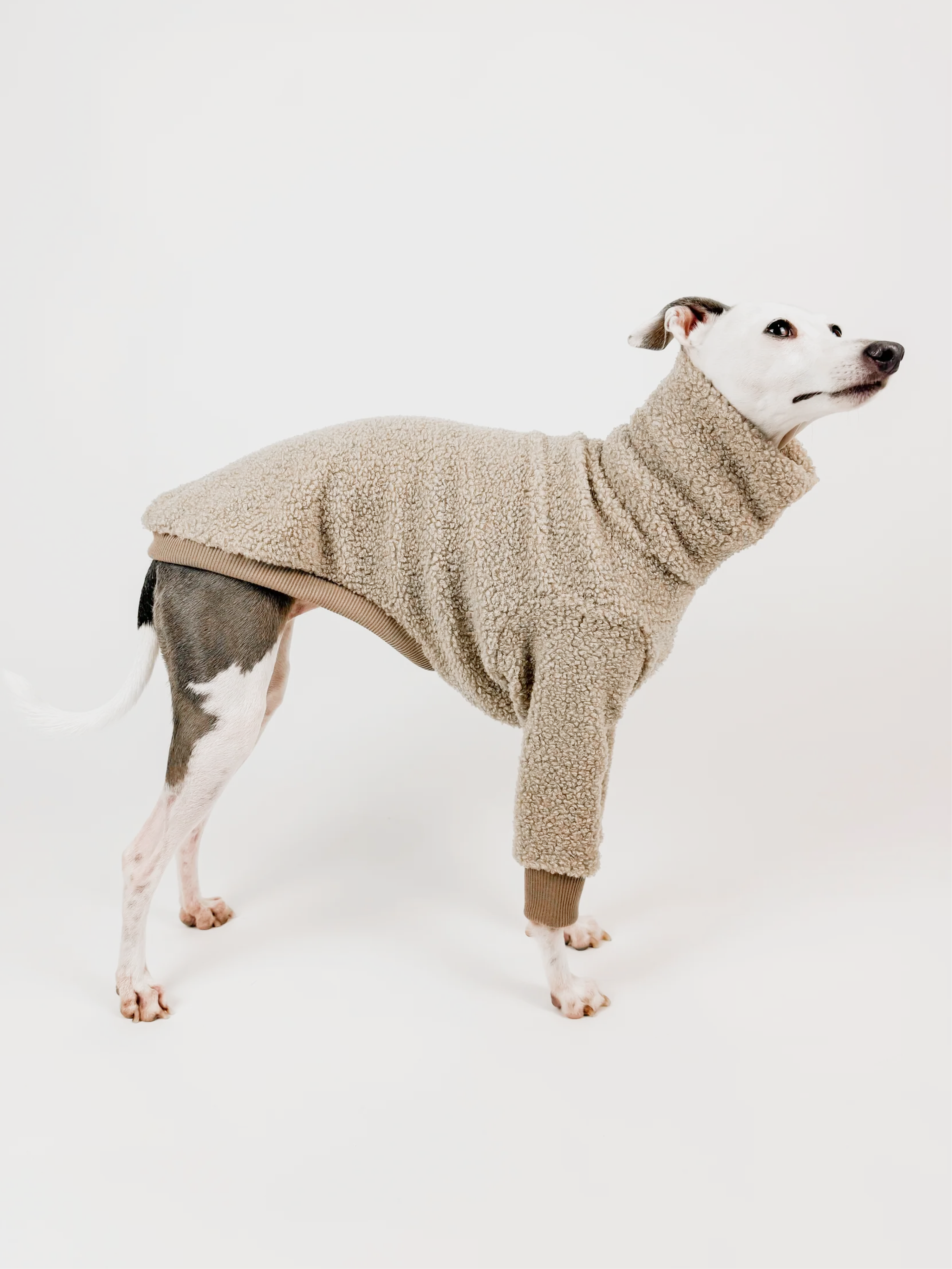 Latte Teddy – Half Suit