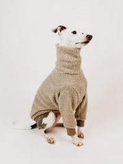 Latte Teddy – Half Suit