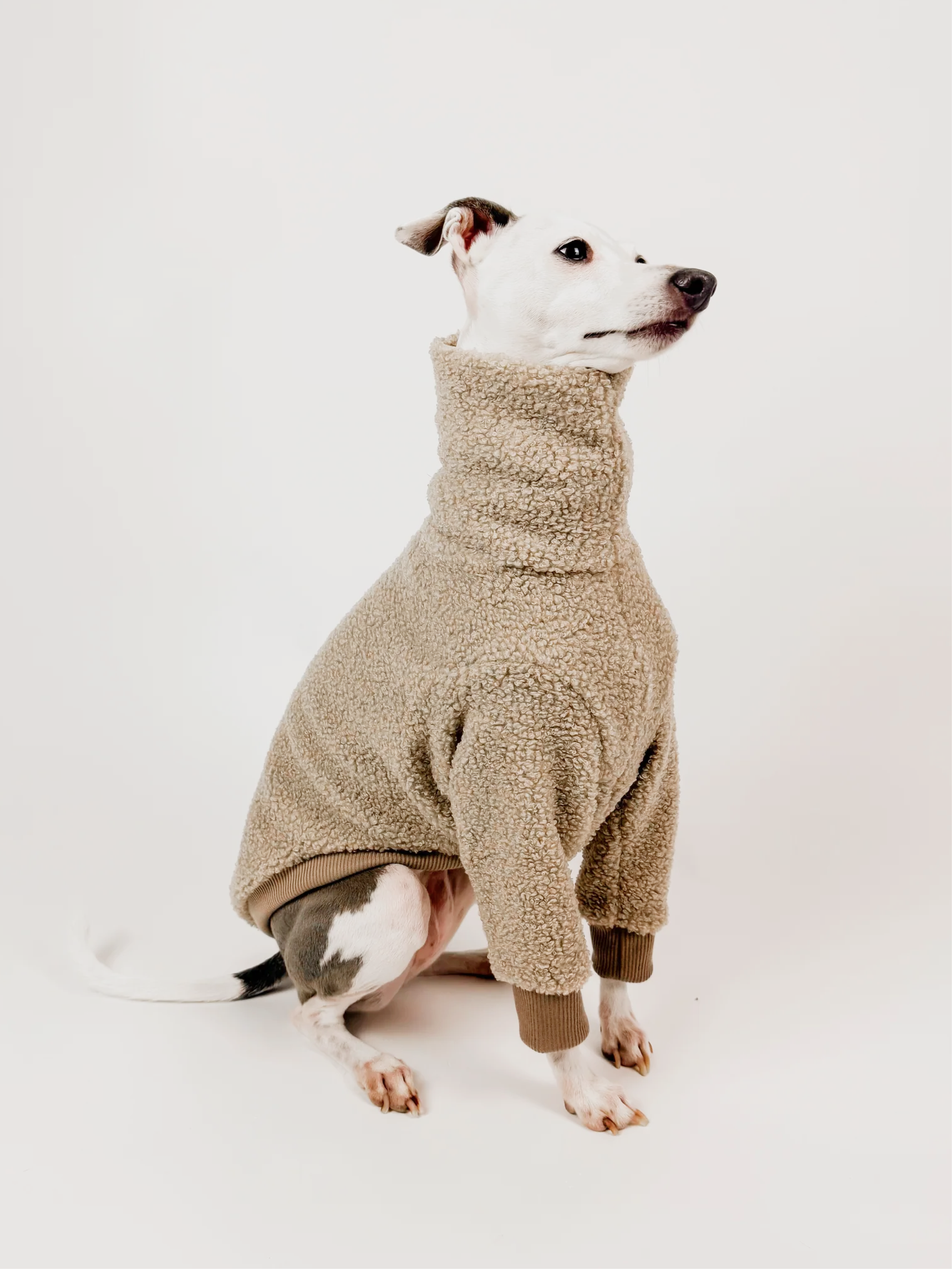 Latte Teddy – Half Suit