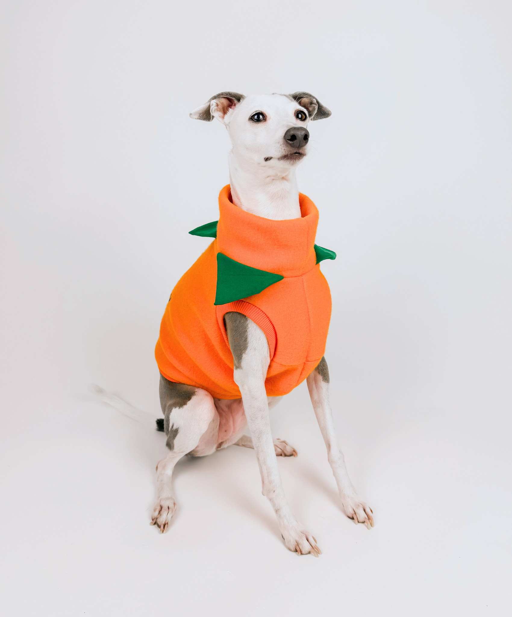 Boo Crew – Sleeveless Crop