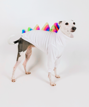 Bossy OG Dinosaur – Half Suit