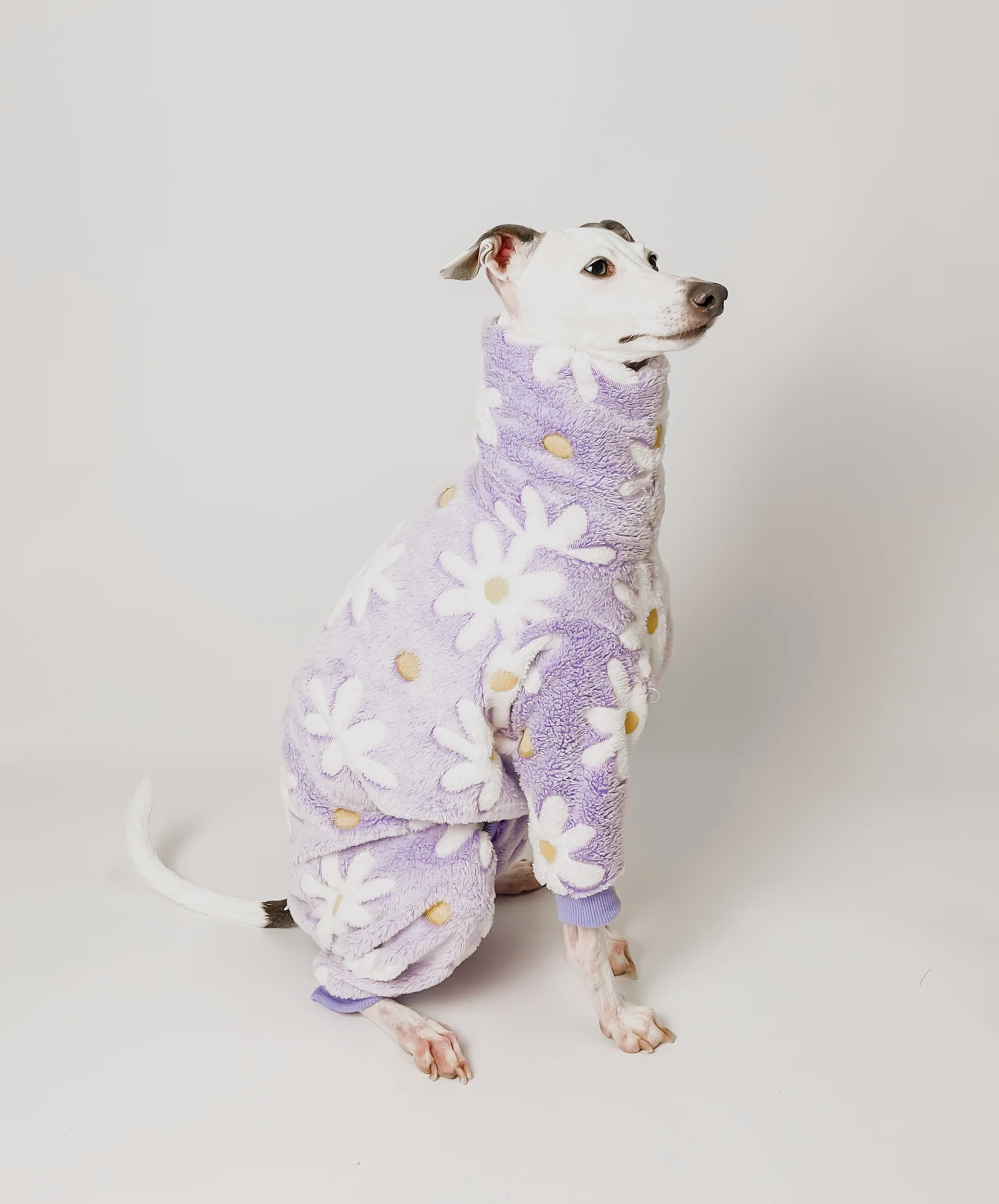 Benoit Florals - Full Suit