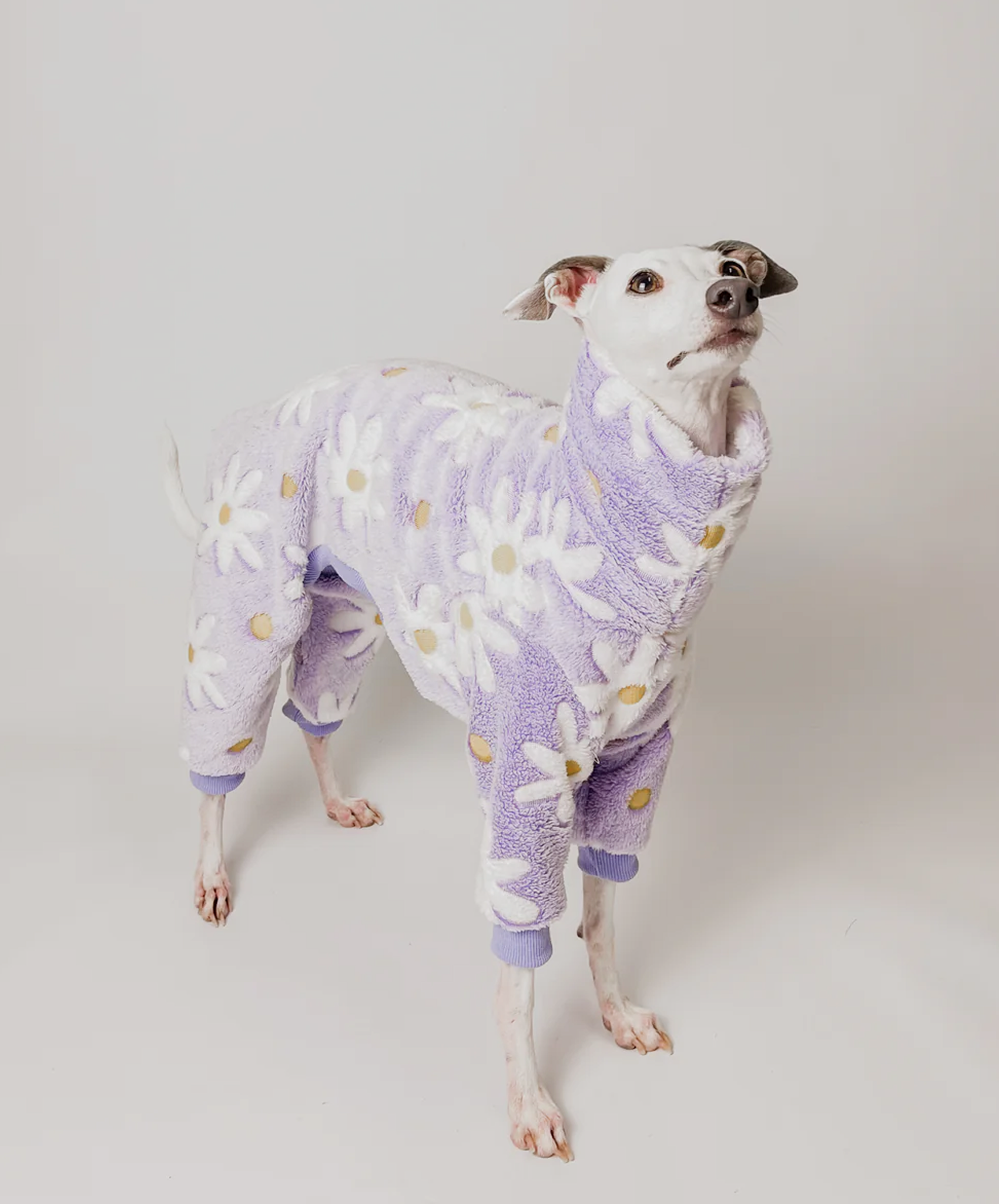 Benoit Florals - Full Suit