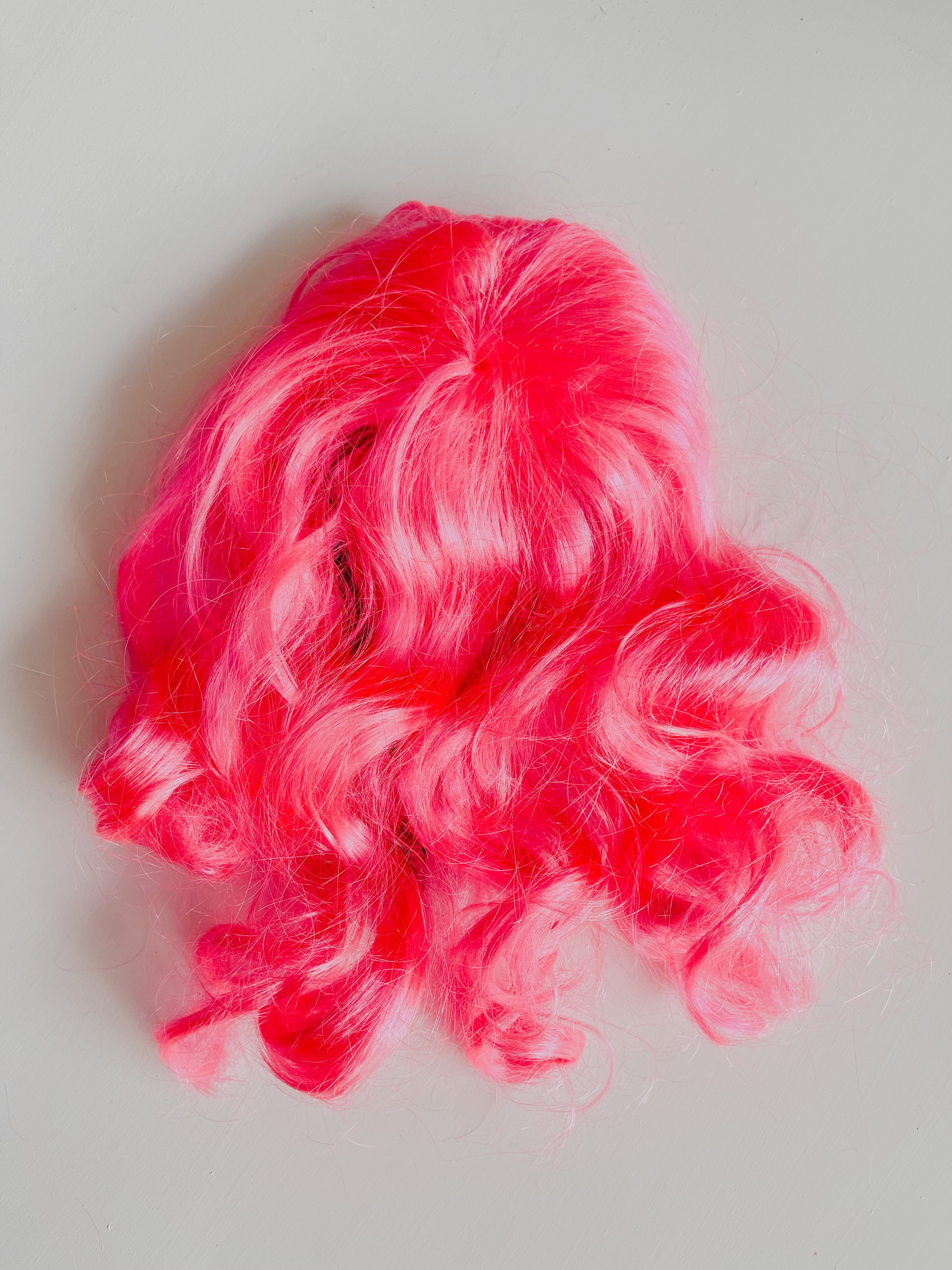 Dog Wigs