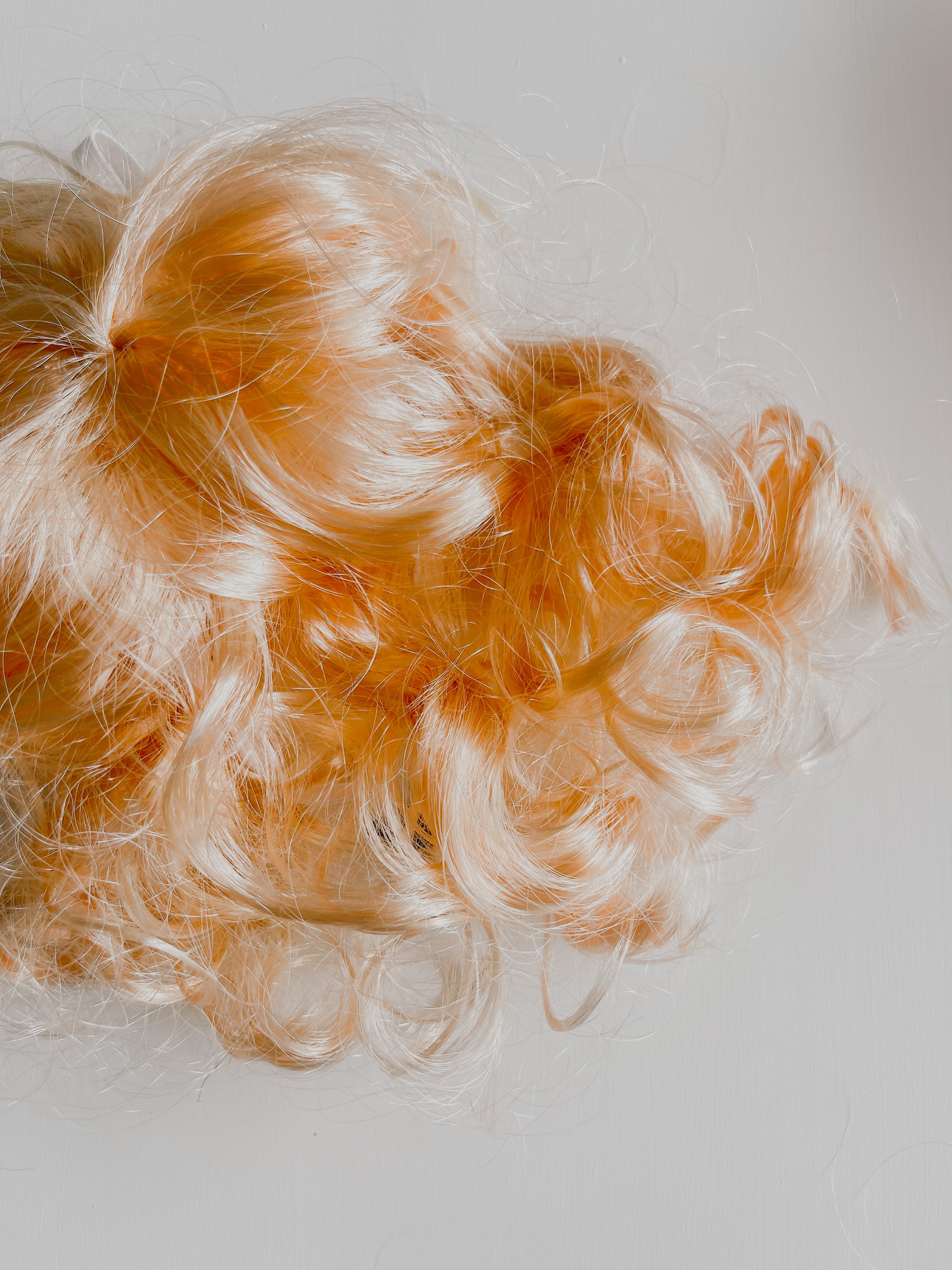 Dog Wigs