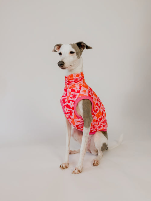Coastal Cutie: Pink - UPF50+ Sun Crop