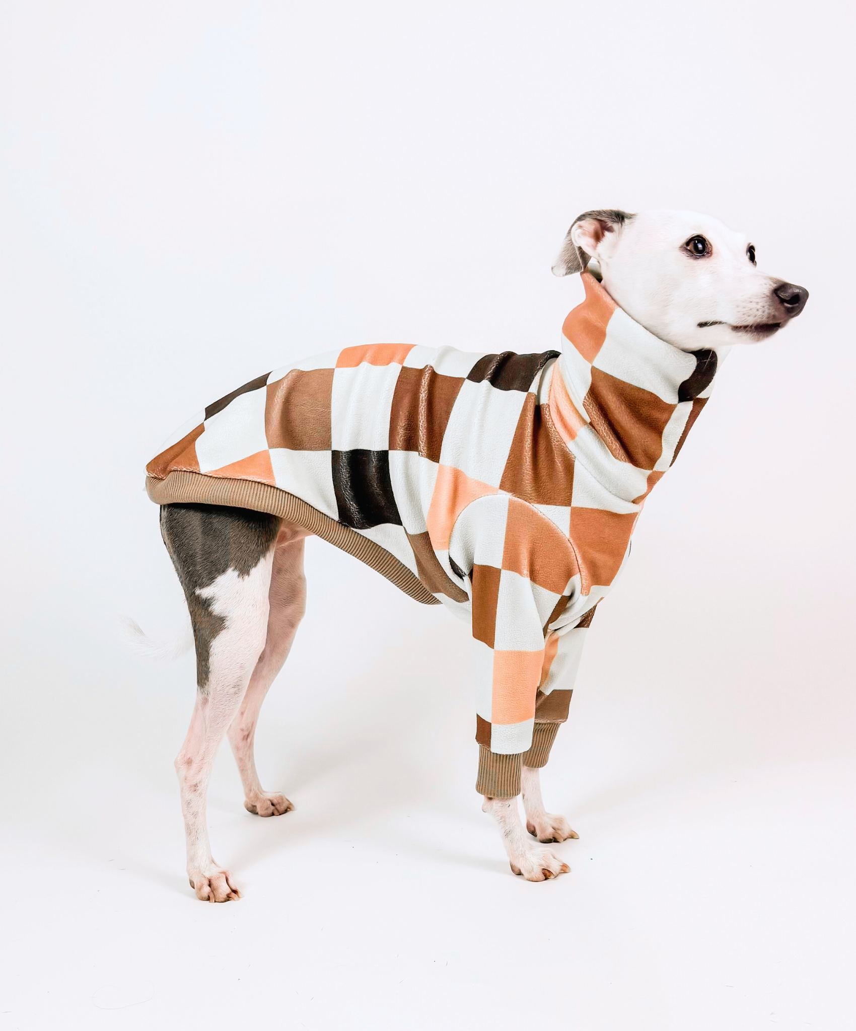 Toffee Club — Half Suit