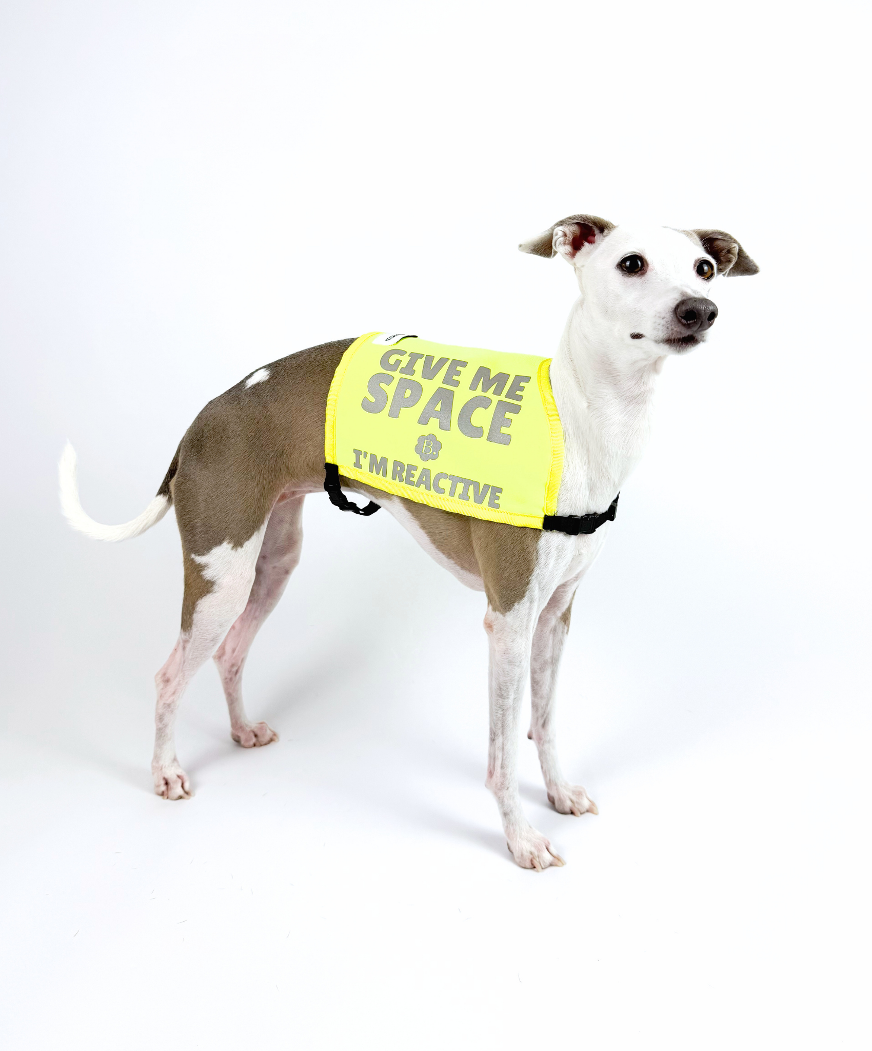 Bossy Customised – Custom Hound Vest