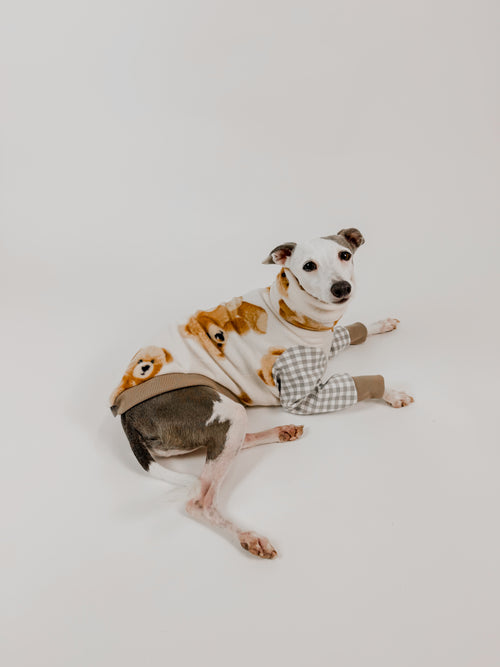 Bossy Bear Picnic - Half Suit