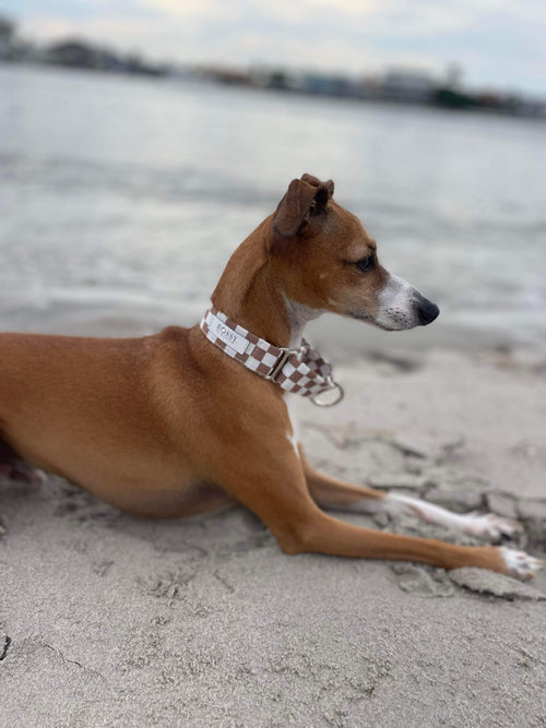 Desert – Martingale Dog Collar