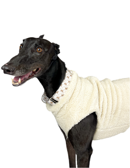Hugs n Teddies - Martingale Dog Collar
