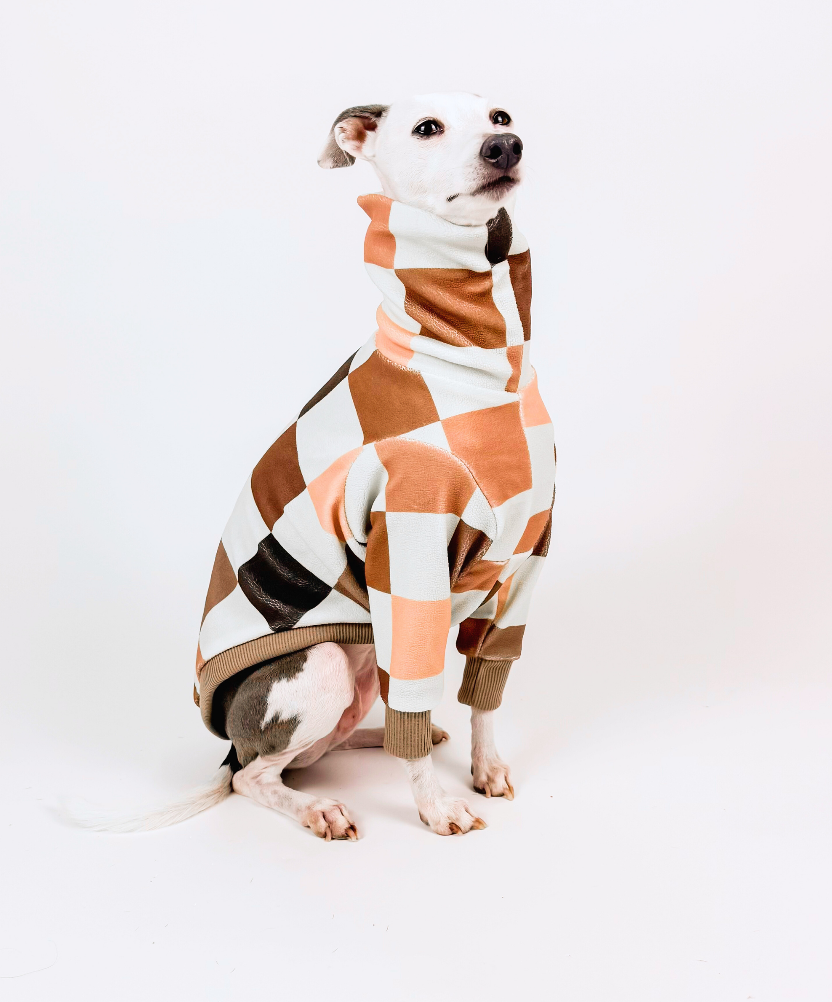 Toffee Club — Half Suit