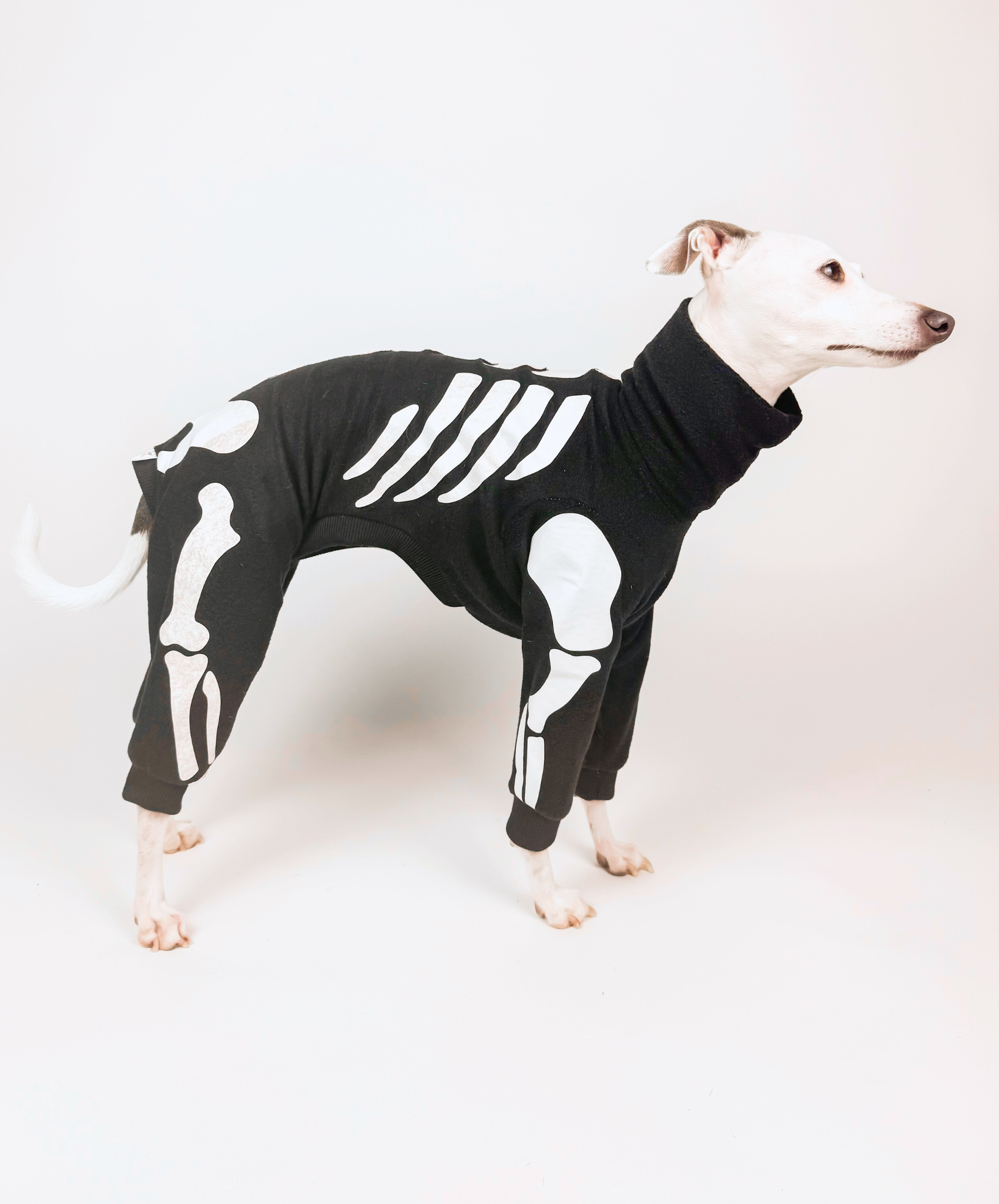 Howloween Skeleton – Full Suit
