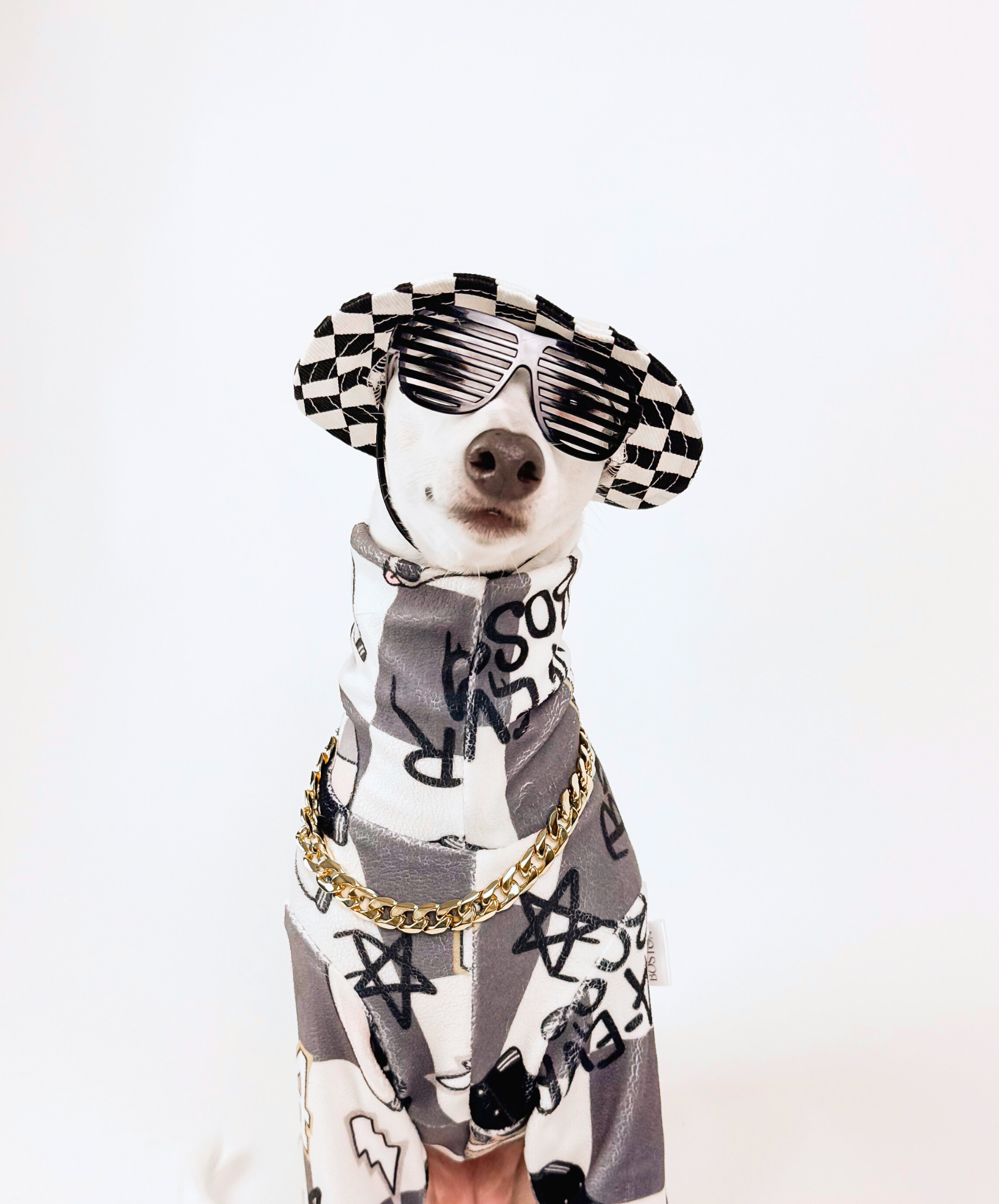 4Eva Bossy – Checkered Dog Hat