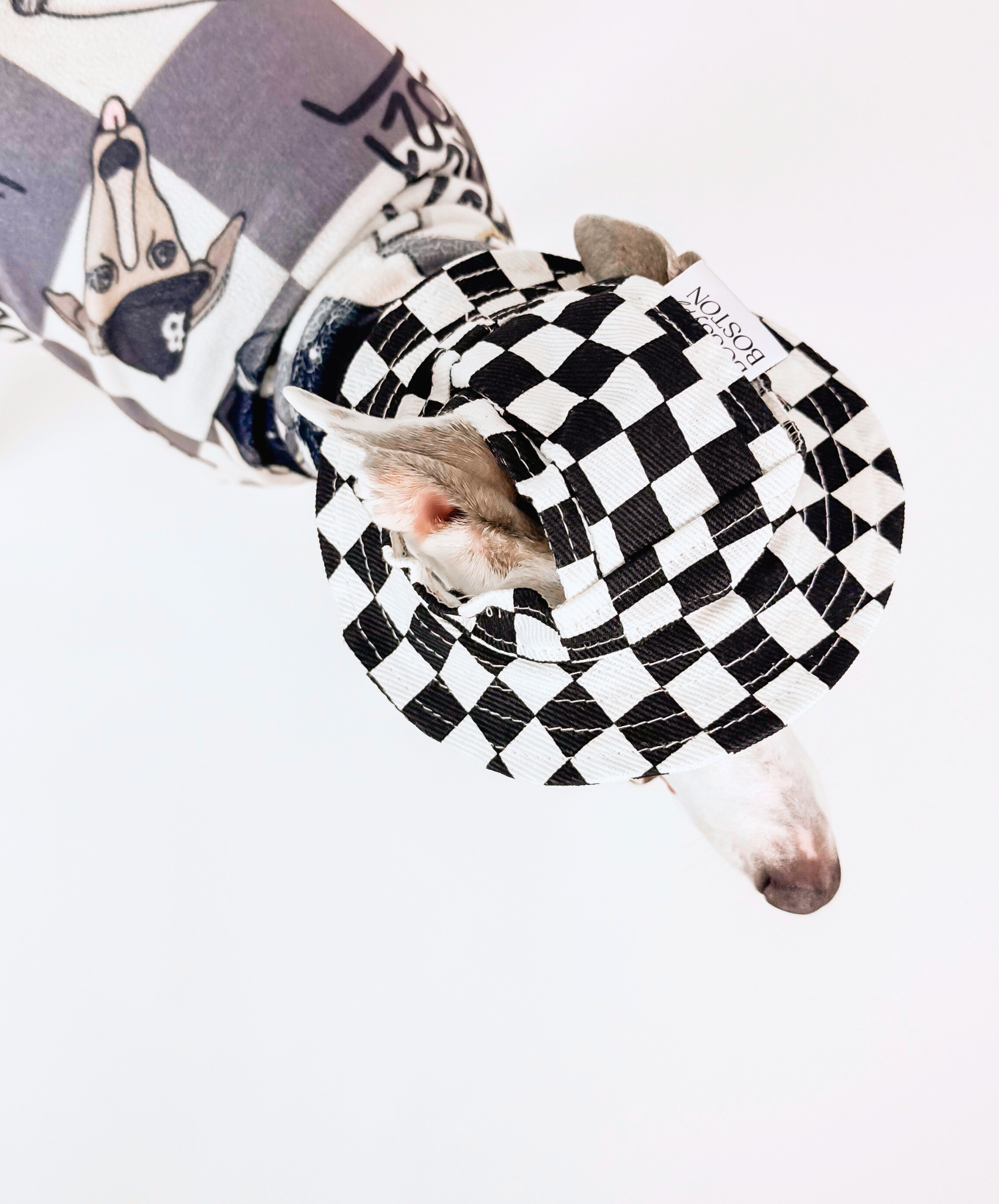 4Eva Bossy – Checkered Dog Hat