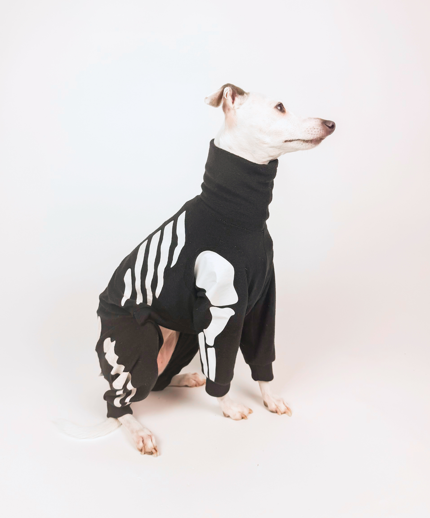 Howloween Skeleton – Full Suit