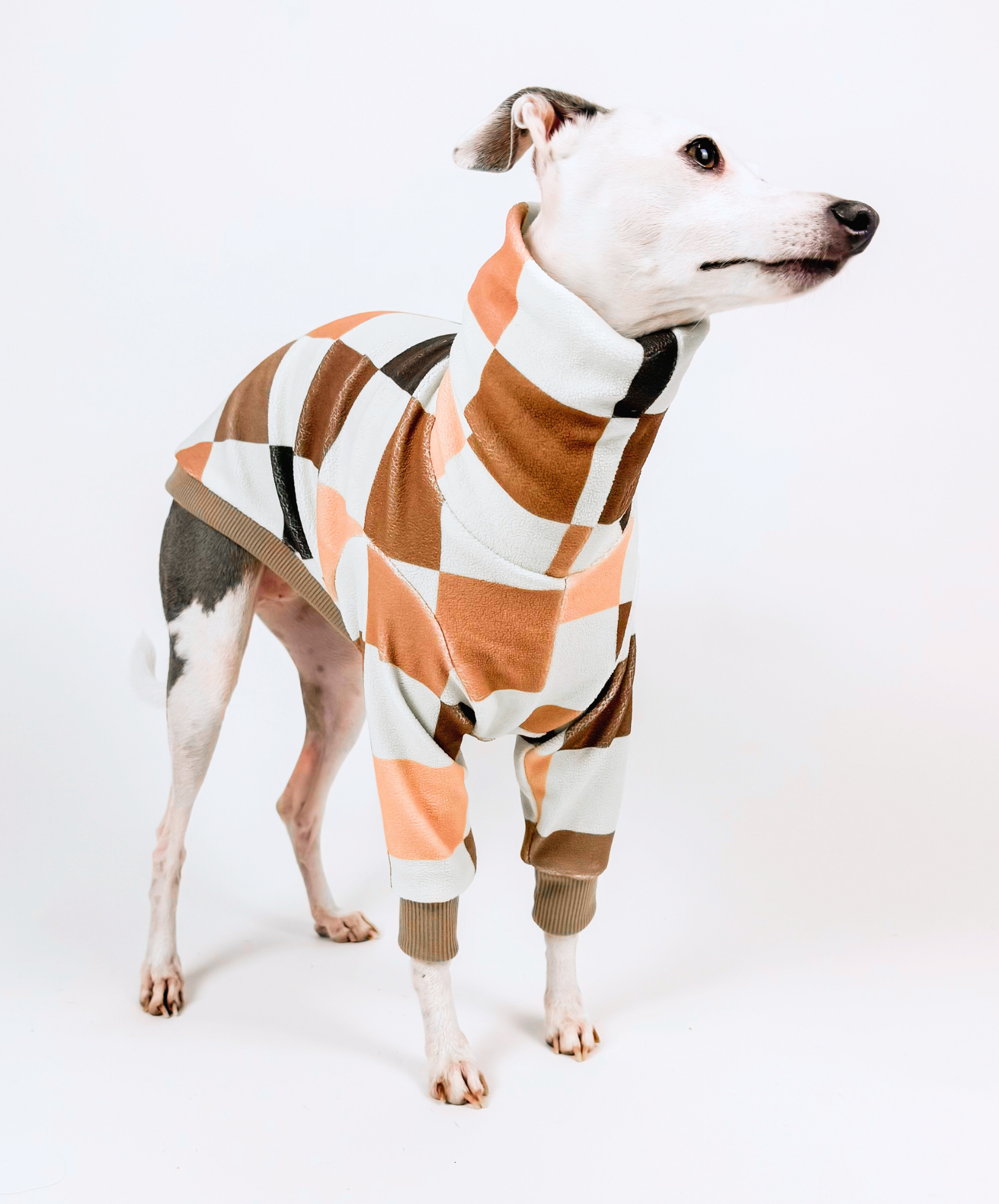 Toffee Club — Half Suit
