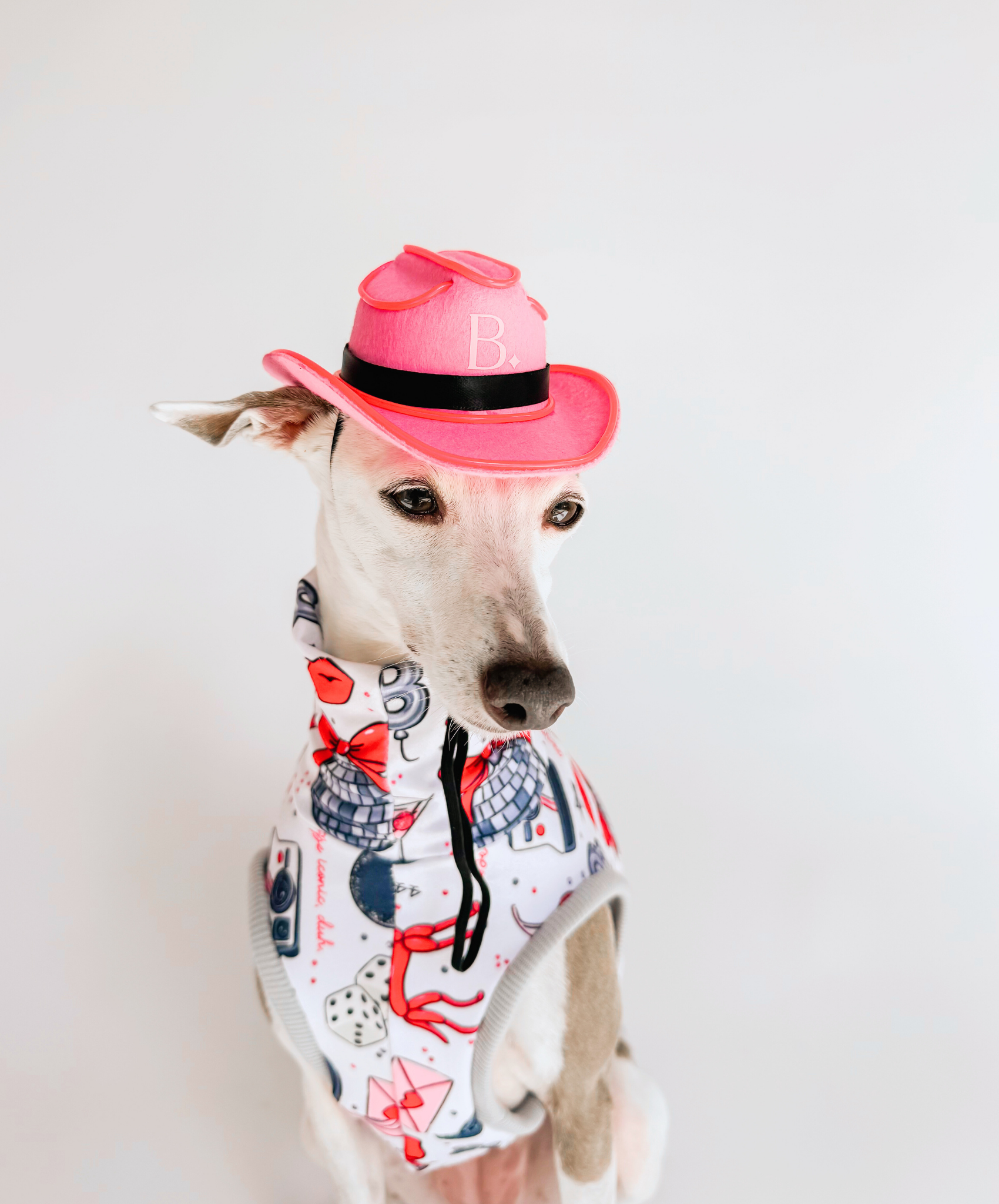 The Pawty Pup – Cowboy Dog Hat