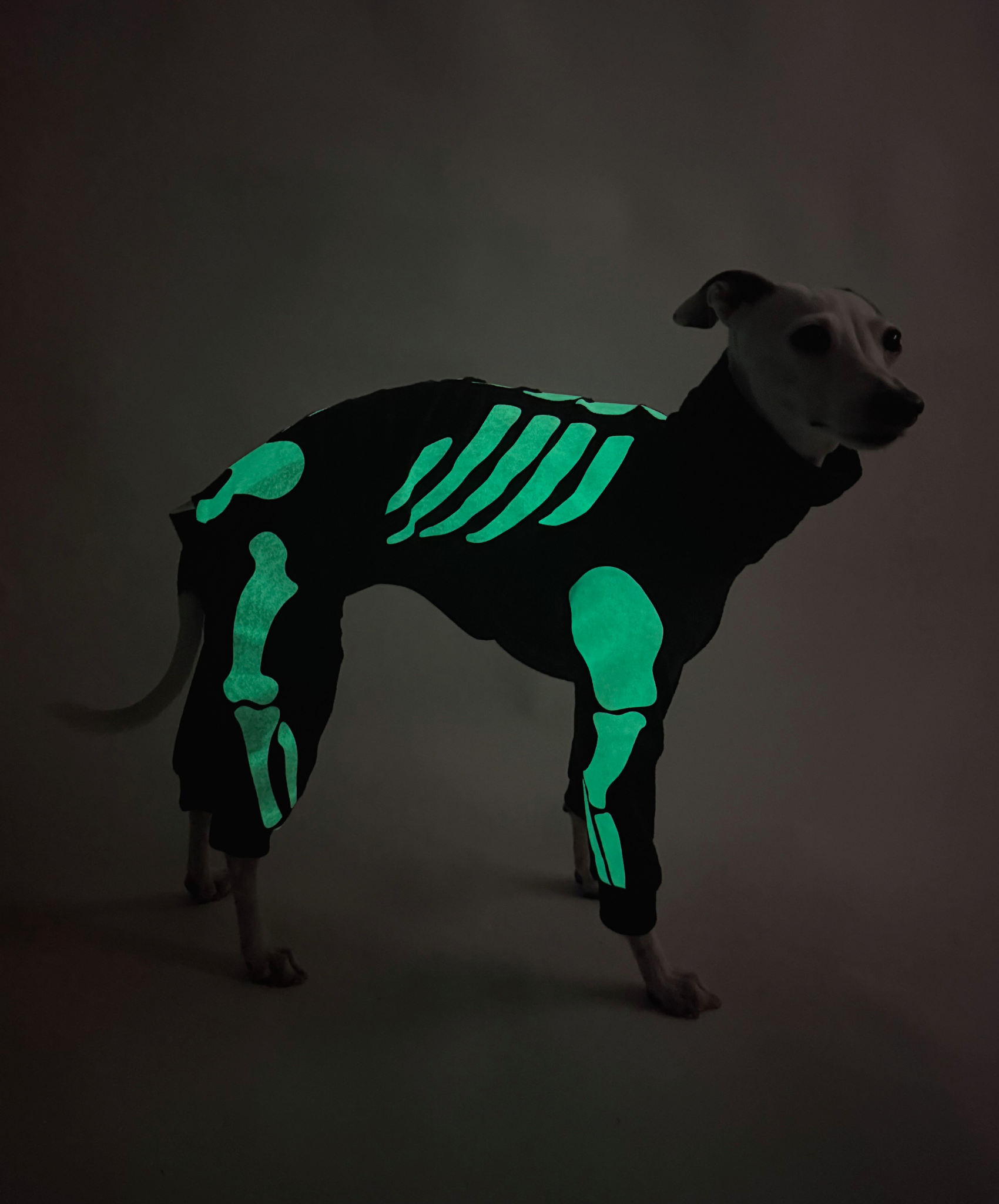 Howloween Skeleton – Full Suit