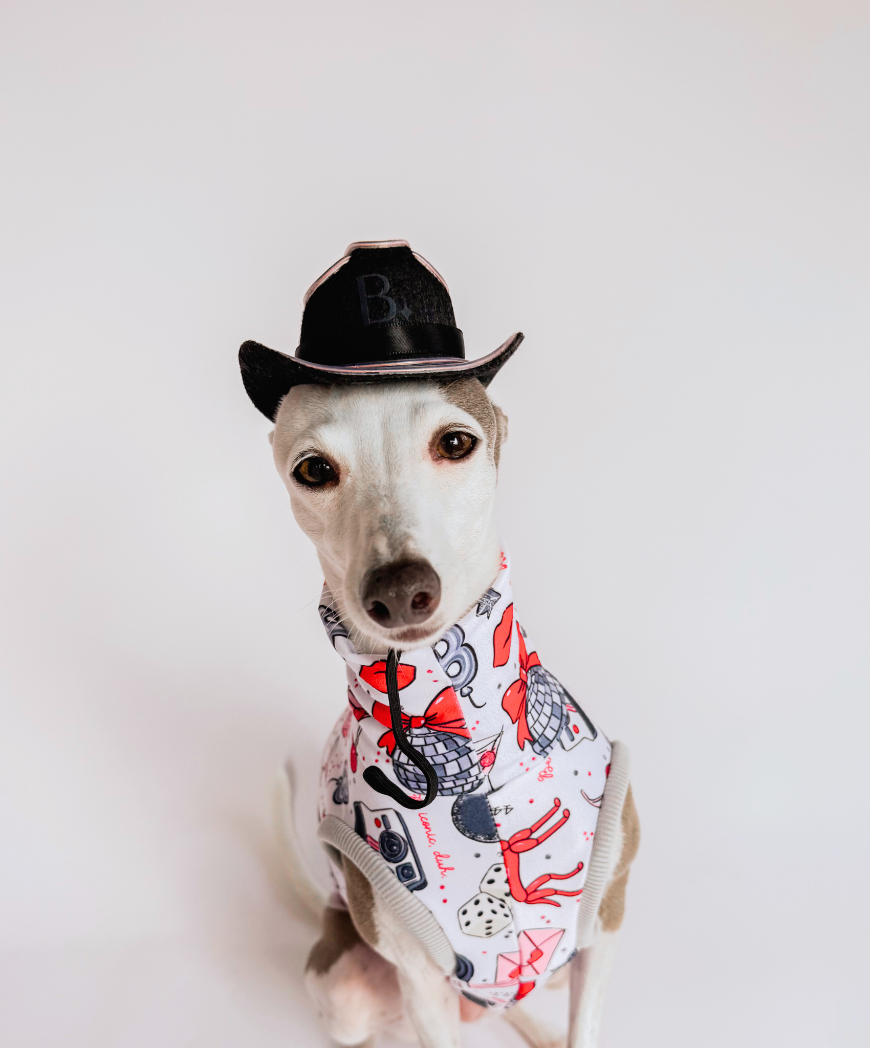 The Pawty Pup – Cowboy Dog Hat