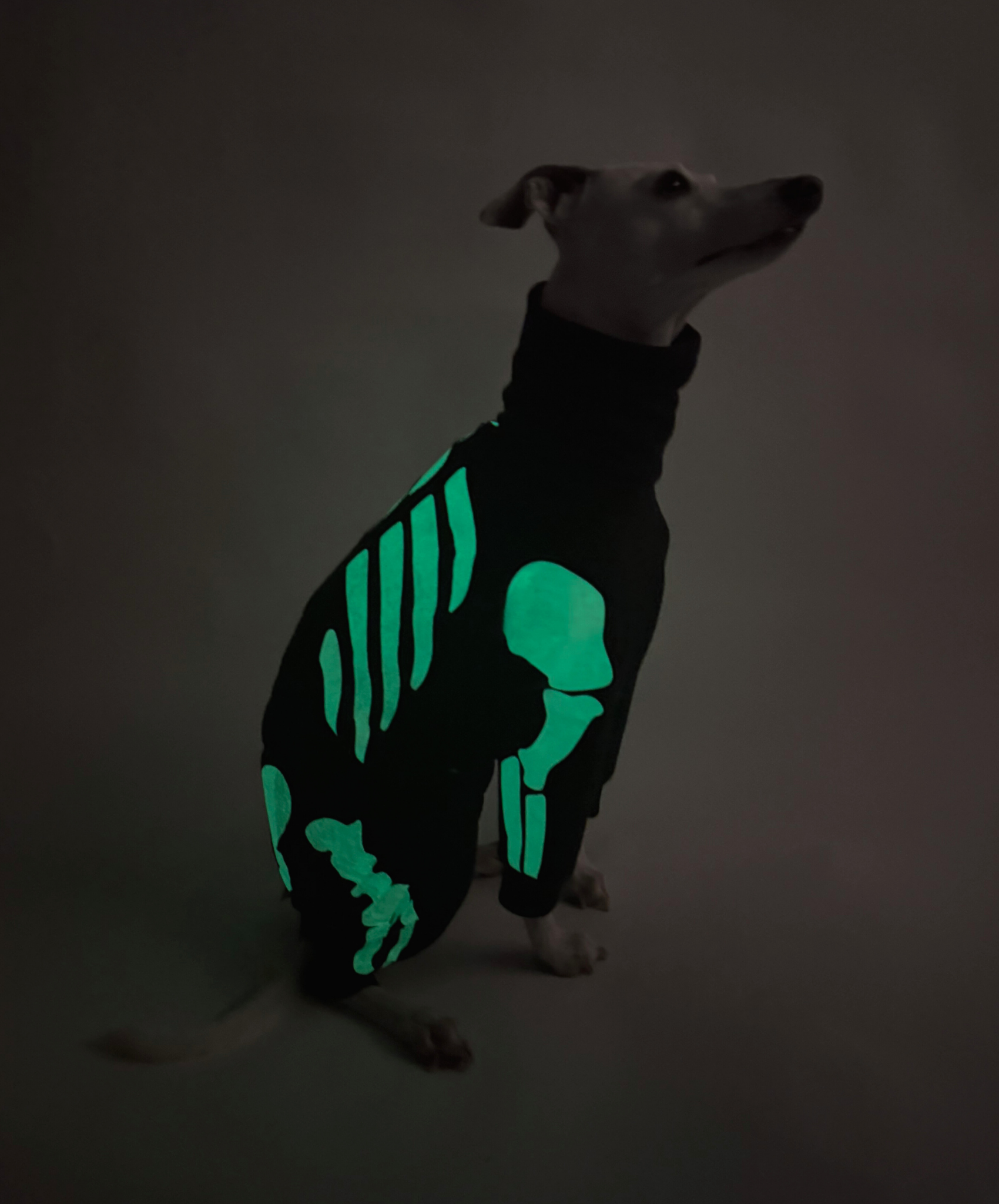 Howloween Skeleton – Full Suit