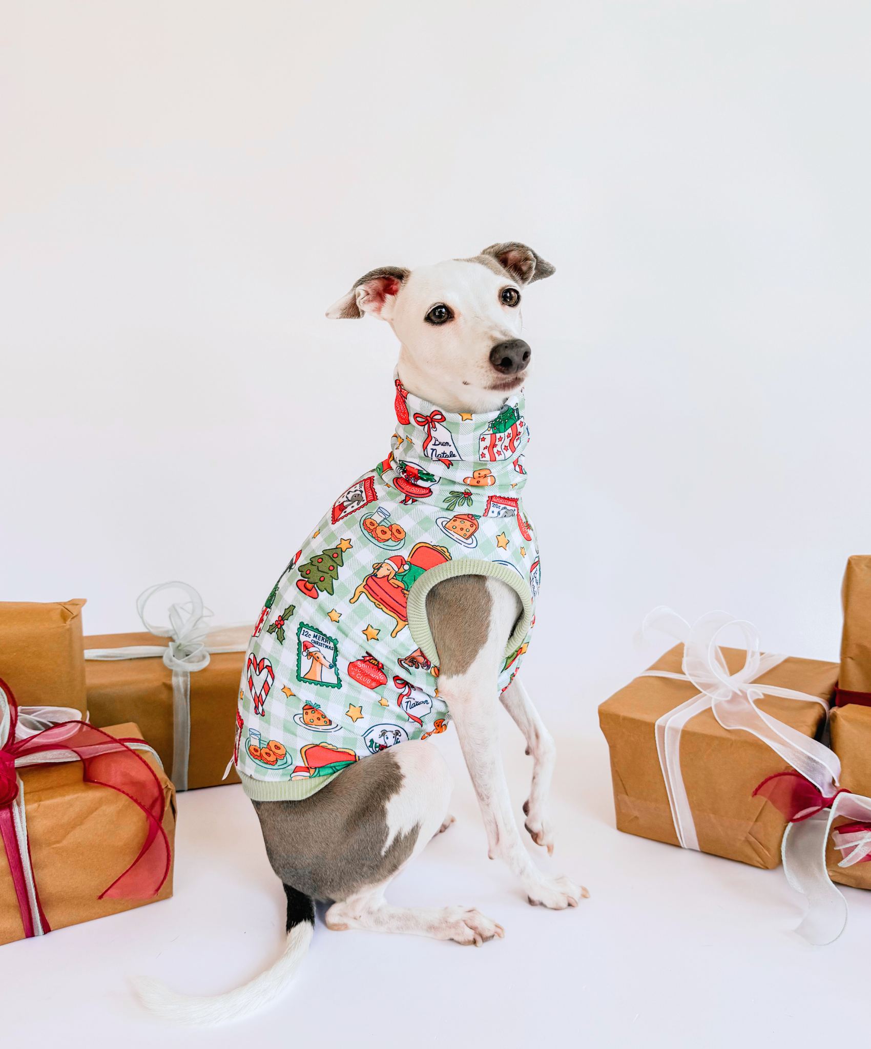 A Hound’s Christmas Tale – Sleeveless Crop