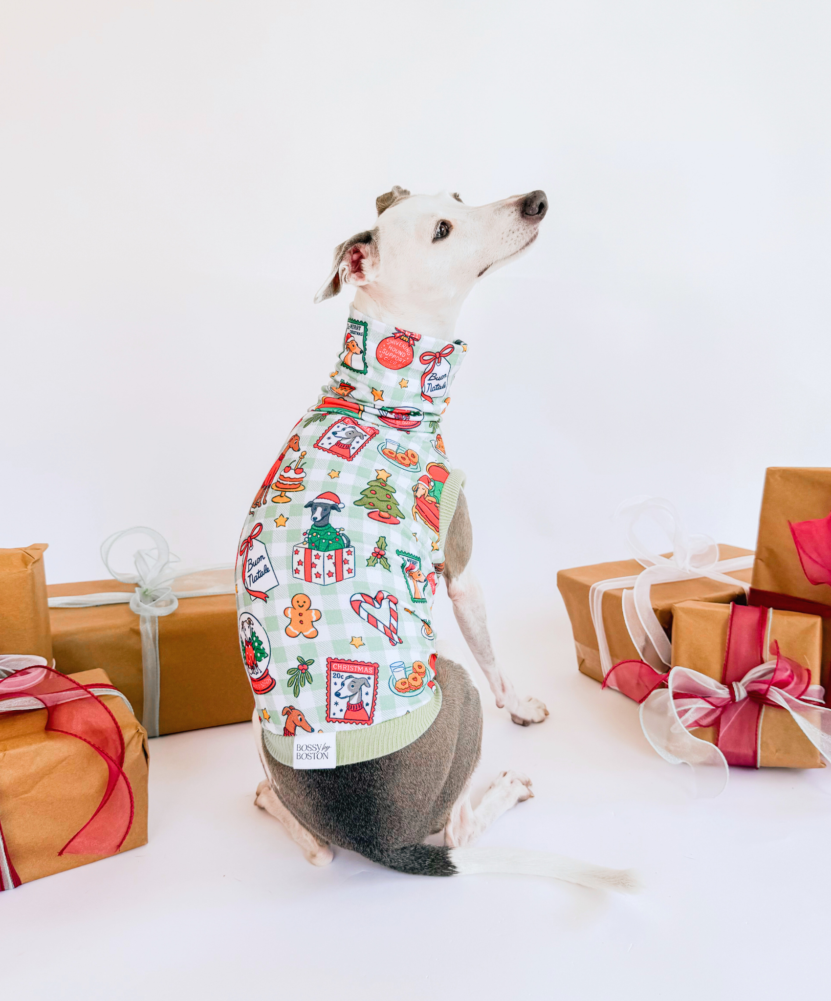 A Hound’s Christmas Tale – Sleeveless Crop