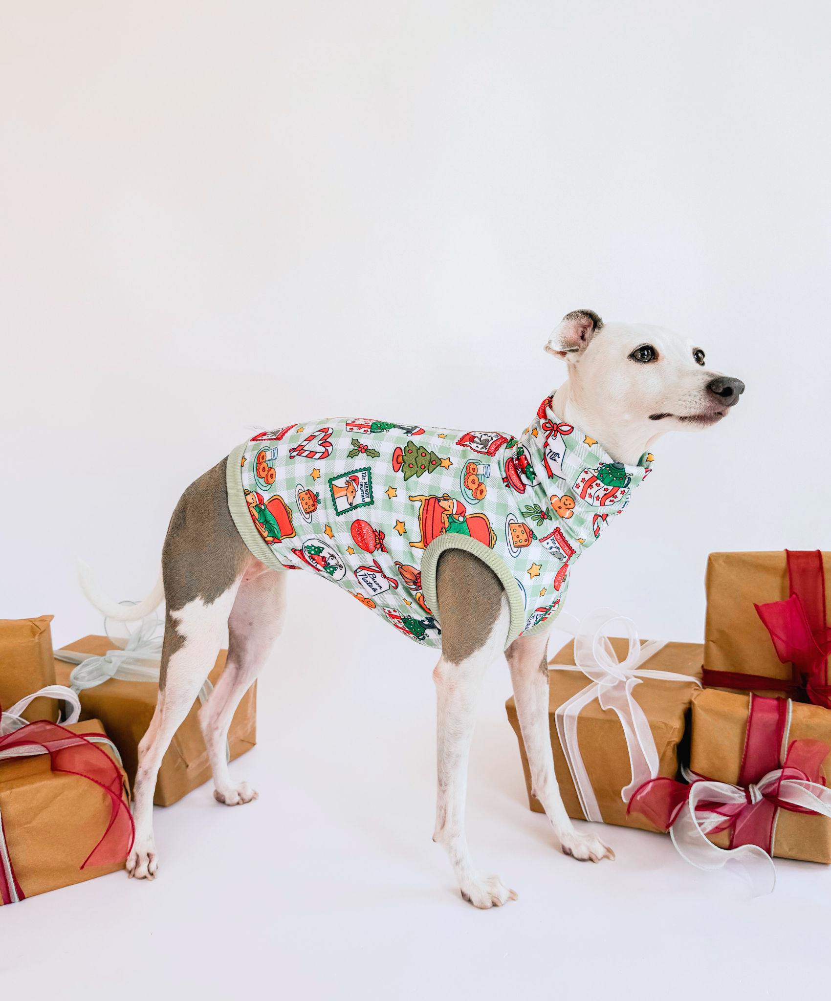 A Hound’s Christmas Tale – Sleeveless Crop