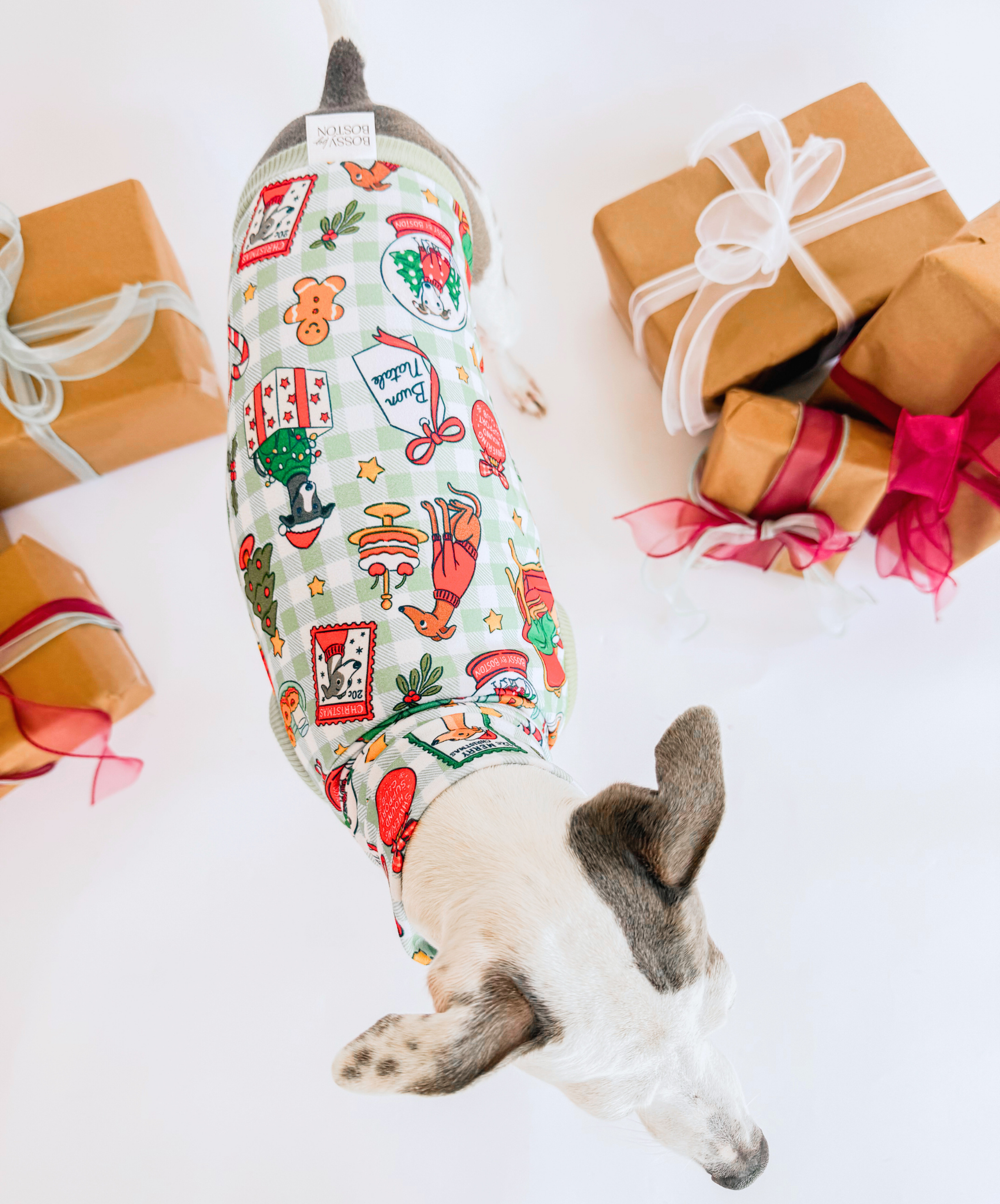 A Hound’s Christmas Tale – Sleeveless Crop