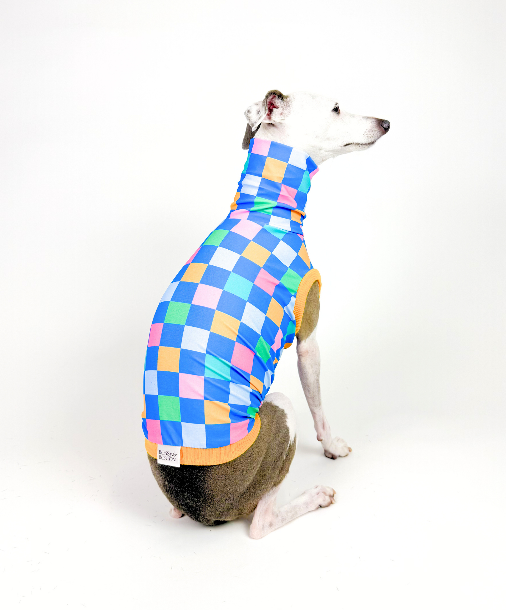 Bossy Blocks – UPF50+ Sun Crop